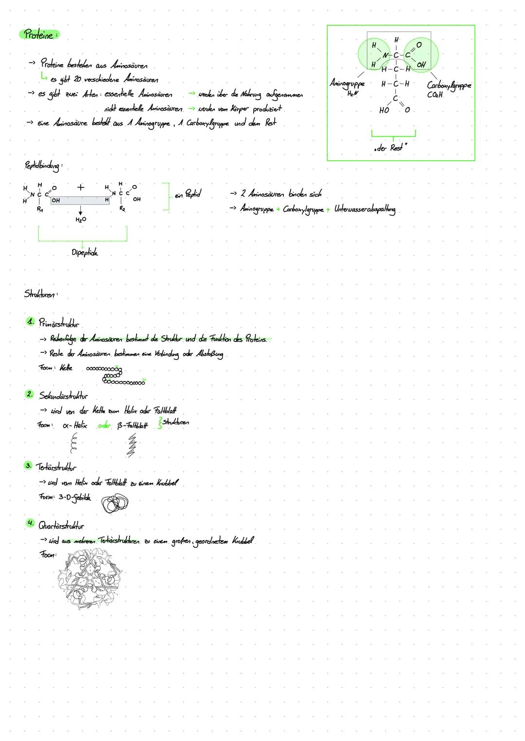 Proteine:
- Proteine besteher aus Aminosäuren
- Les gibt 20 verschiedene Aminosäuren
- es gibt ever Atten essentielle Aminosäuren $\rightar