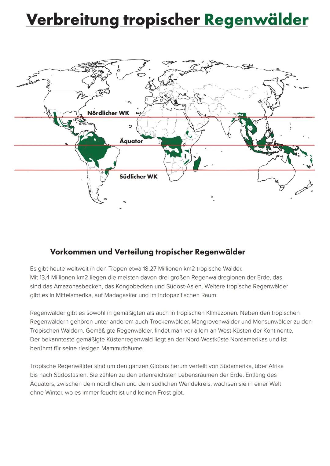 # Der Tropische Regenwald
und seine agrarische Nutzung # Verbreitung tropischer Regenwälder
Nördlicher WK
Äquator
Südlicher WK
# Vorkom