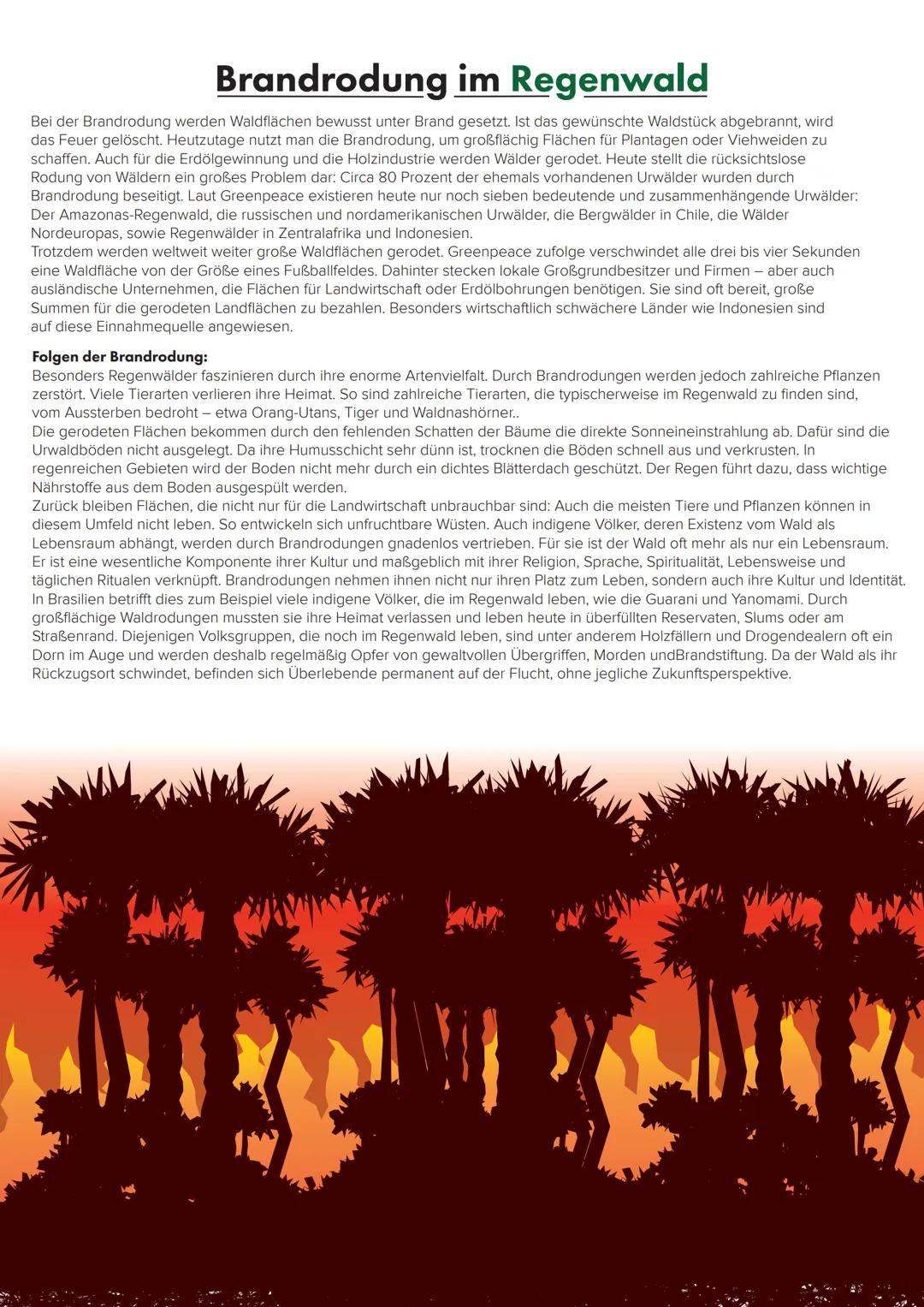 # Der Tropische Regenwald
und seine agrarische Nutzung # Verbreitung tropischer Regenwälder
Nördlicher WK
Äquator
Südlicher WK
# Vorkom