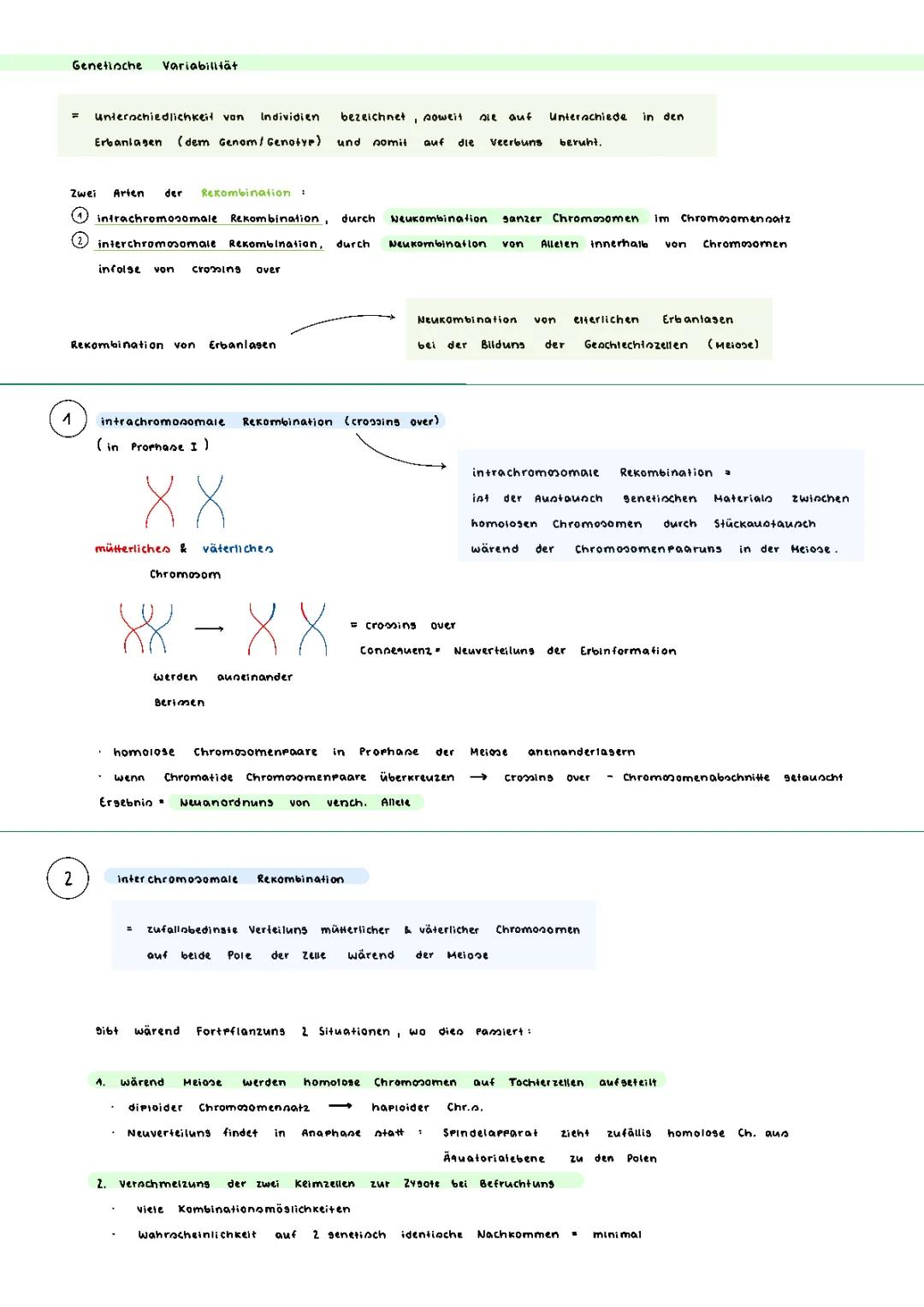 Genetische Variabilität