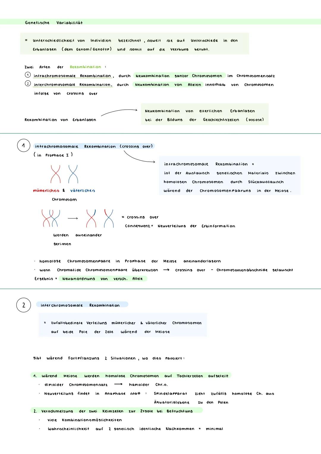 Genetinche Variabilität
= unterschiedlichkeit von Individien
bezeichnet, soweit sie auf Unterschiede
Erbanlagen (dem Genom / Genotyp) und so