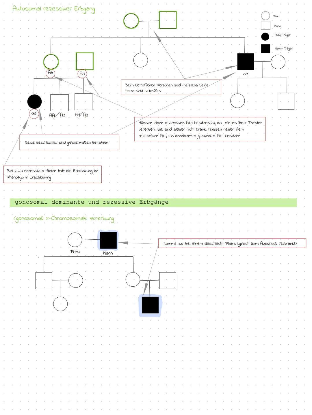 # STAMMBAUMANALYSE
Generation 1
Frau
Mann
Generation 2
Generation 3
Kranic
Krank
A heterozygot
Krank
homozygot
A
A
Dominant?
Kr