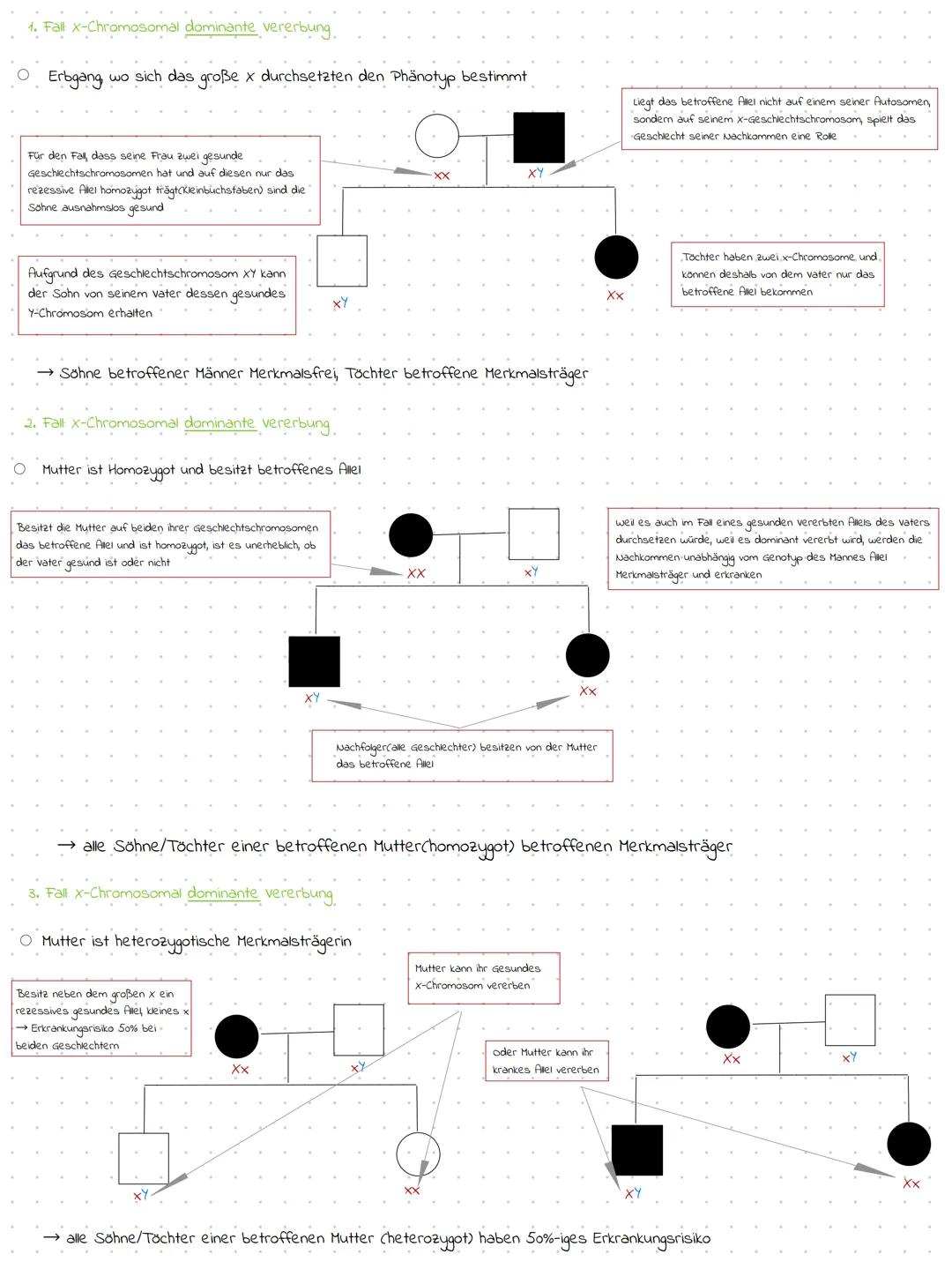 # STAMMBAUMANALYSE
Generation 1
Frau
Mann
Generation 2
Generation 3
Kranic
Krank
A heterozygot
Krank
homozygot
A
A
Dominant?
Kr