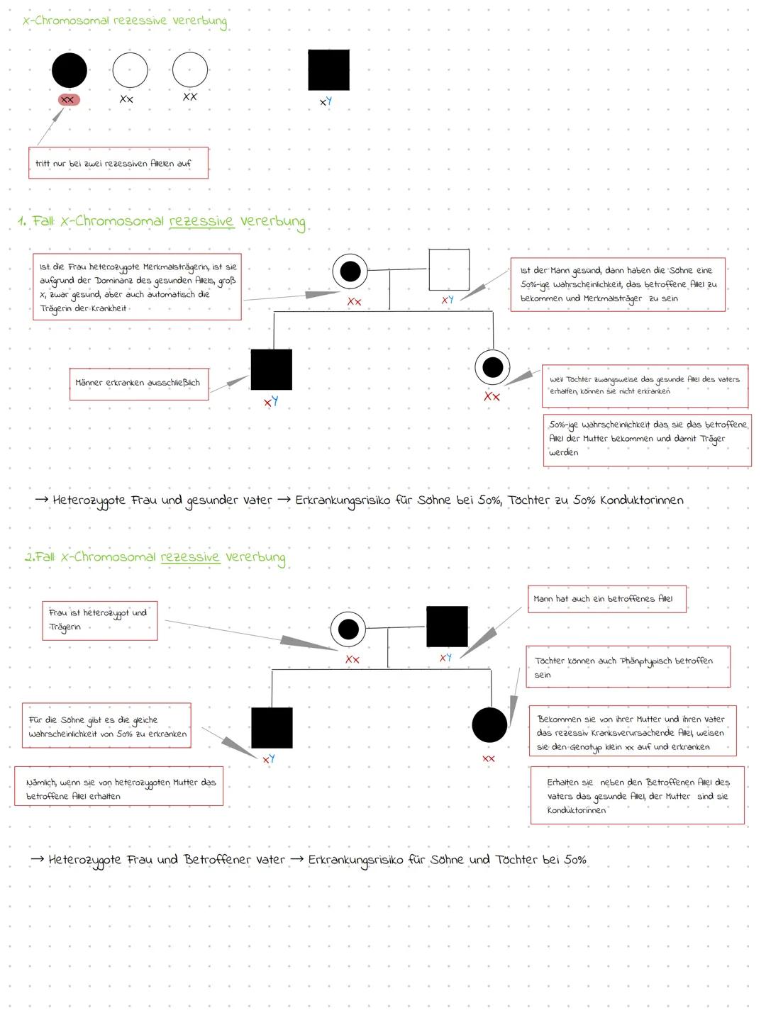 # STAMMBAUMANALYSE
Generation 1
Frau
Mann
Generation 2
Generation 3
Kranic
Krank
A heterozygot
Krank
homozygot
A
A
Dominant?
Kr
