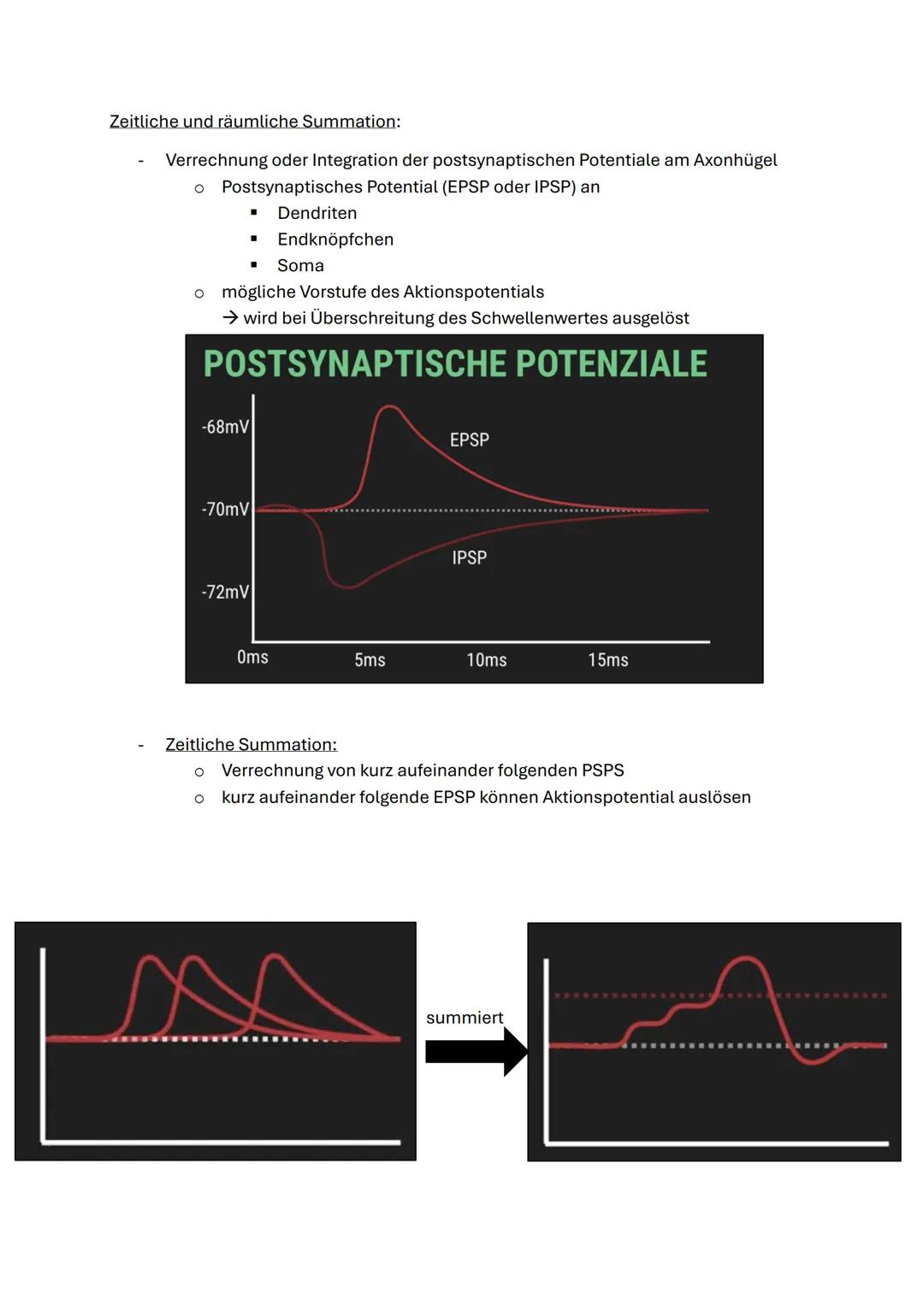 Q3.1 Neurobiologie
1. Bau und Funktion der Nervenzelle
Nervenzelle &
Nervensystem I
Aufbau einer Nervenzelle:
Beschrifte die folgende Abbild