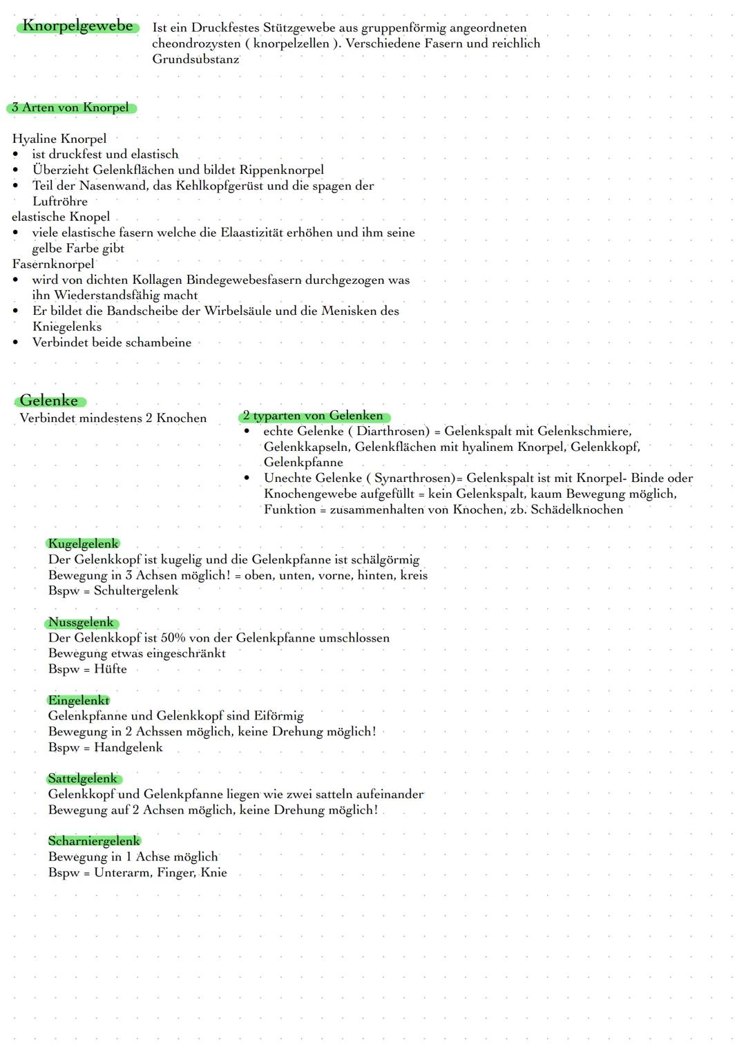 # Bewegungsapperat
Passiver Bewegungsapperat = ist ein Stützapperat, dient in erster Linie
der Stützung bzw. Formgebung des Körpers
- Knoch