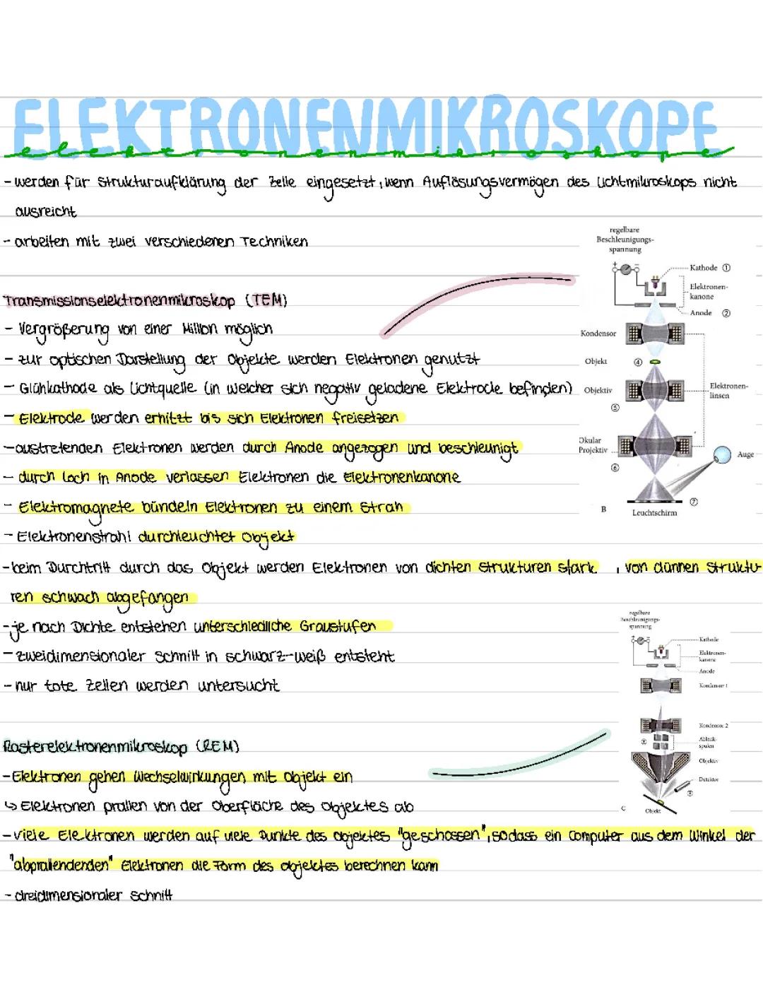 Elektronenmikroskope