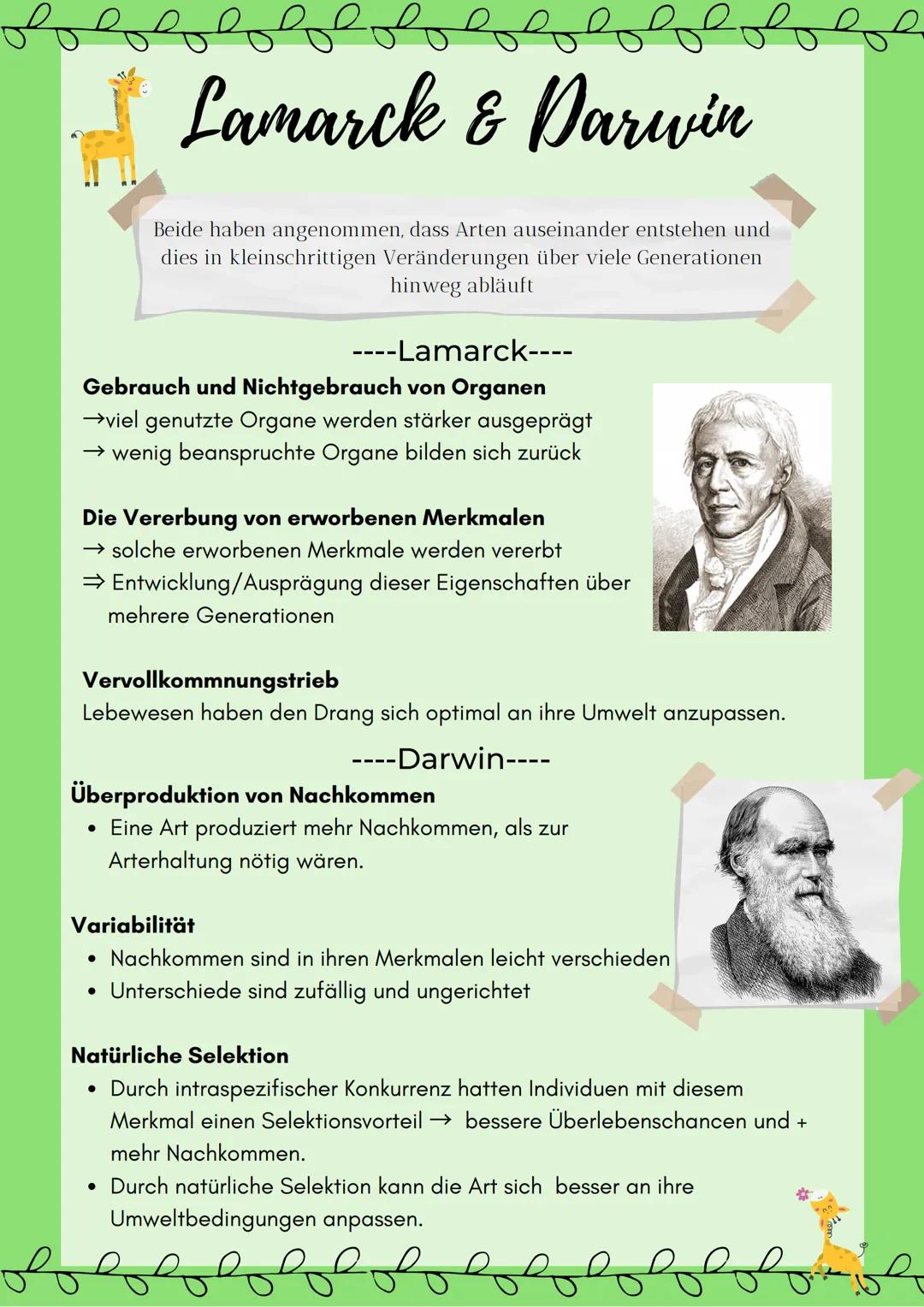 # Lamarck & Darwin
Beide haben angenommen, dass Arten auseinander entstehen und
dies in kleinschrittigen Veränderungen über viele Generatio