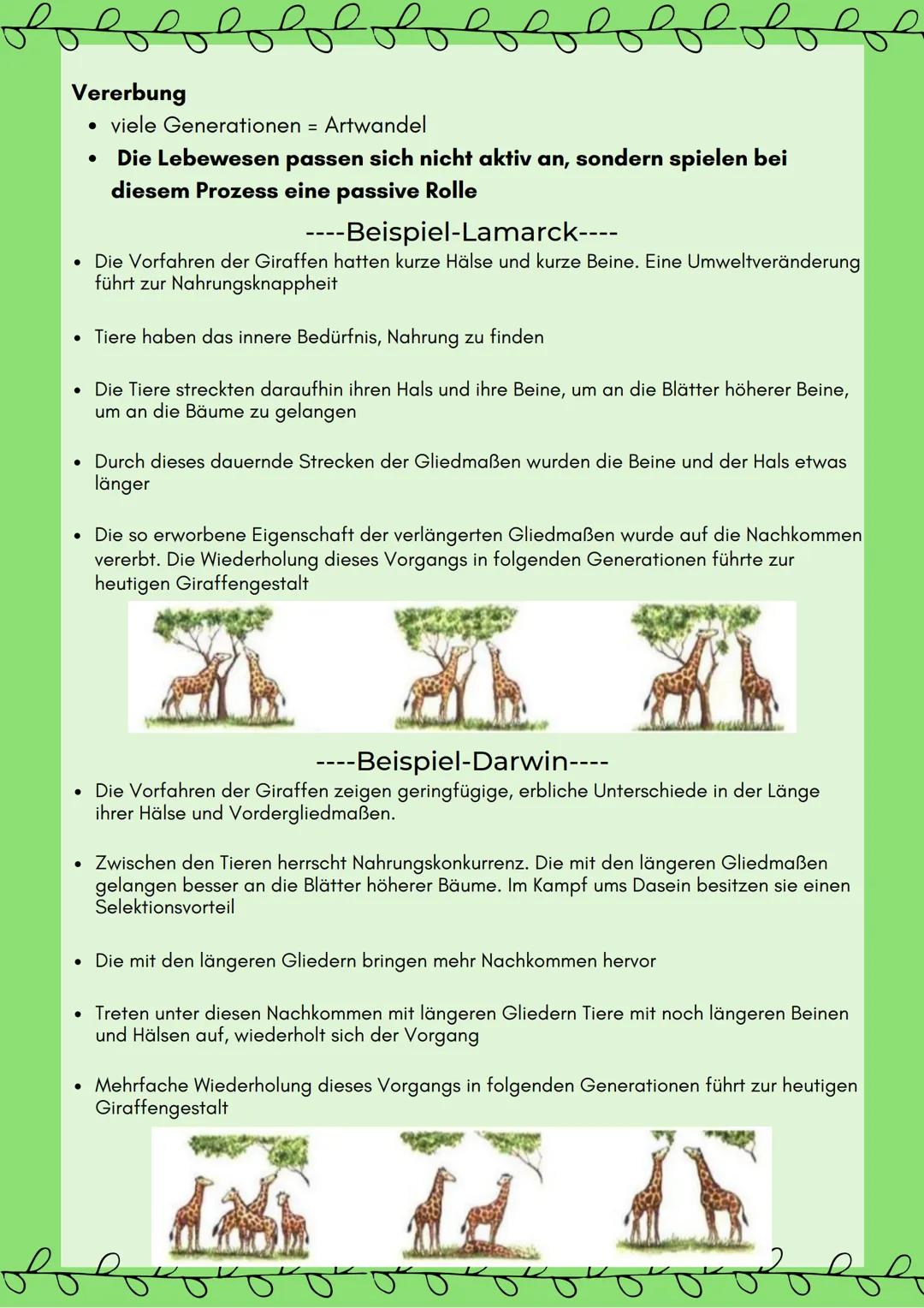 # Lamarck & Darwin
Beide haben angenommen, dass Arten auseinander entstehen und
dies in kleinschrittigen Veränderungen über viele Generatio