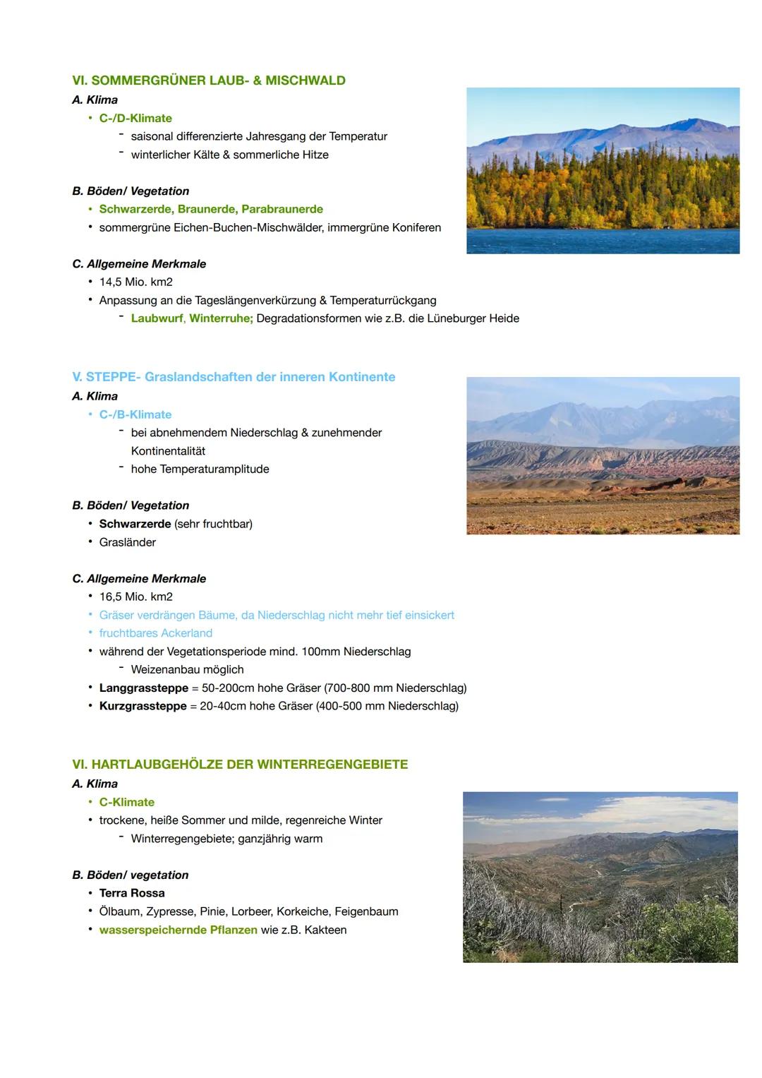 Klima
I. KLIMAELEMENTE & KLIMAFAKTOREN
Ferell-Zelle
Hadley-Zelle
innertropische
Konvergenz
zone
Hadley-Zelle
Ferell-Zelle
Polare
Polare Zell