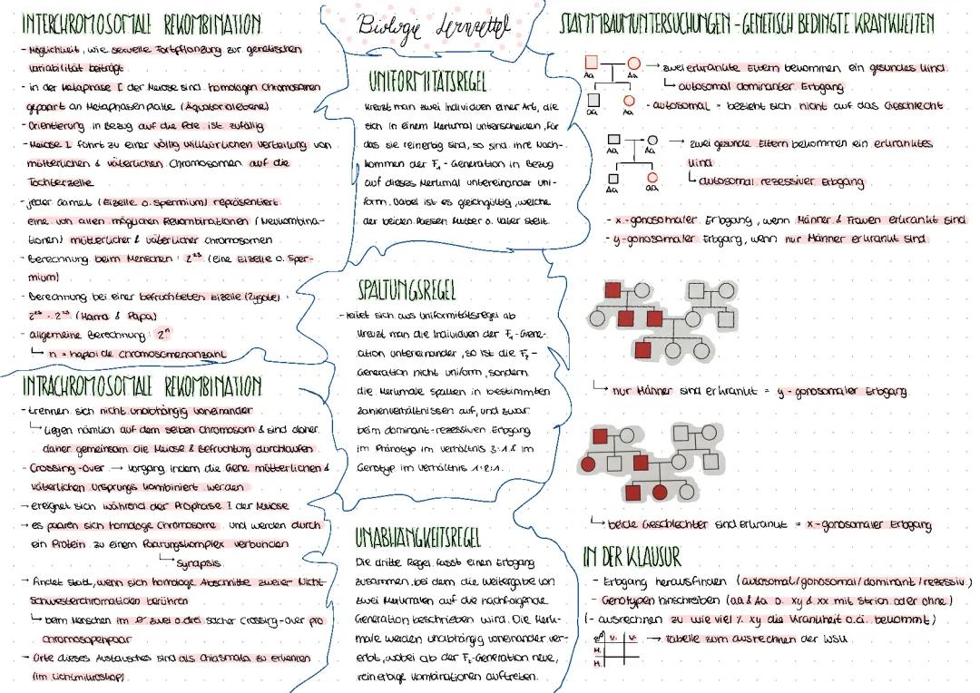 Stammbaumanalyse + Mendelsche Regeln