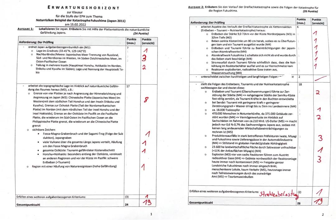 Katastrophe in Fukushima (Japan, 2011)