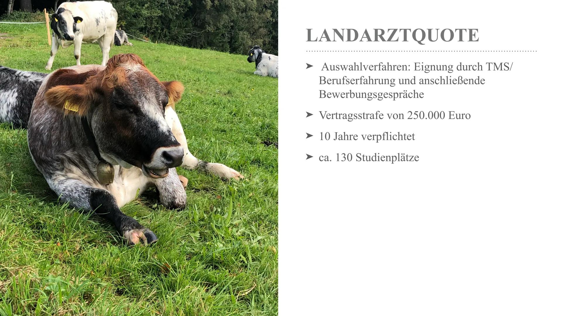 ELLEN POMPEO
RIPPED BY
xPanPanli30x TRIPPED BY
xPanPan1130x HUMANMEDIZIN
...und was alles danach möglich ist! ge Tools Scroll Evaluation Sys