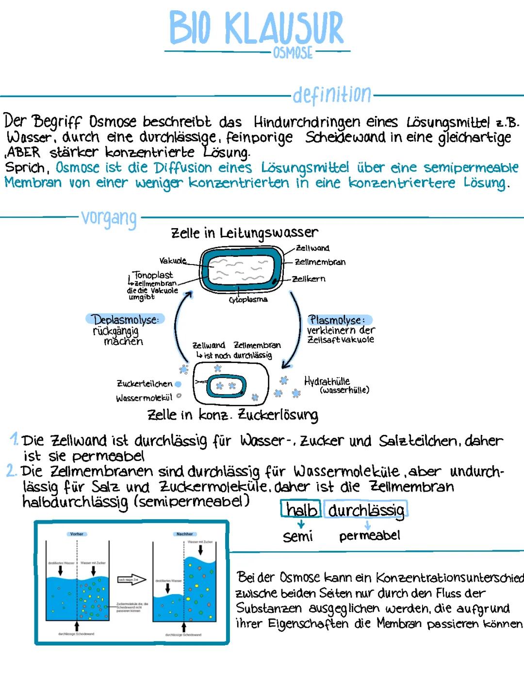 Biomembran, Osmose und Diffusion :)