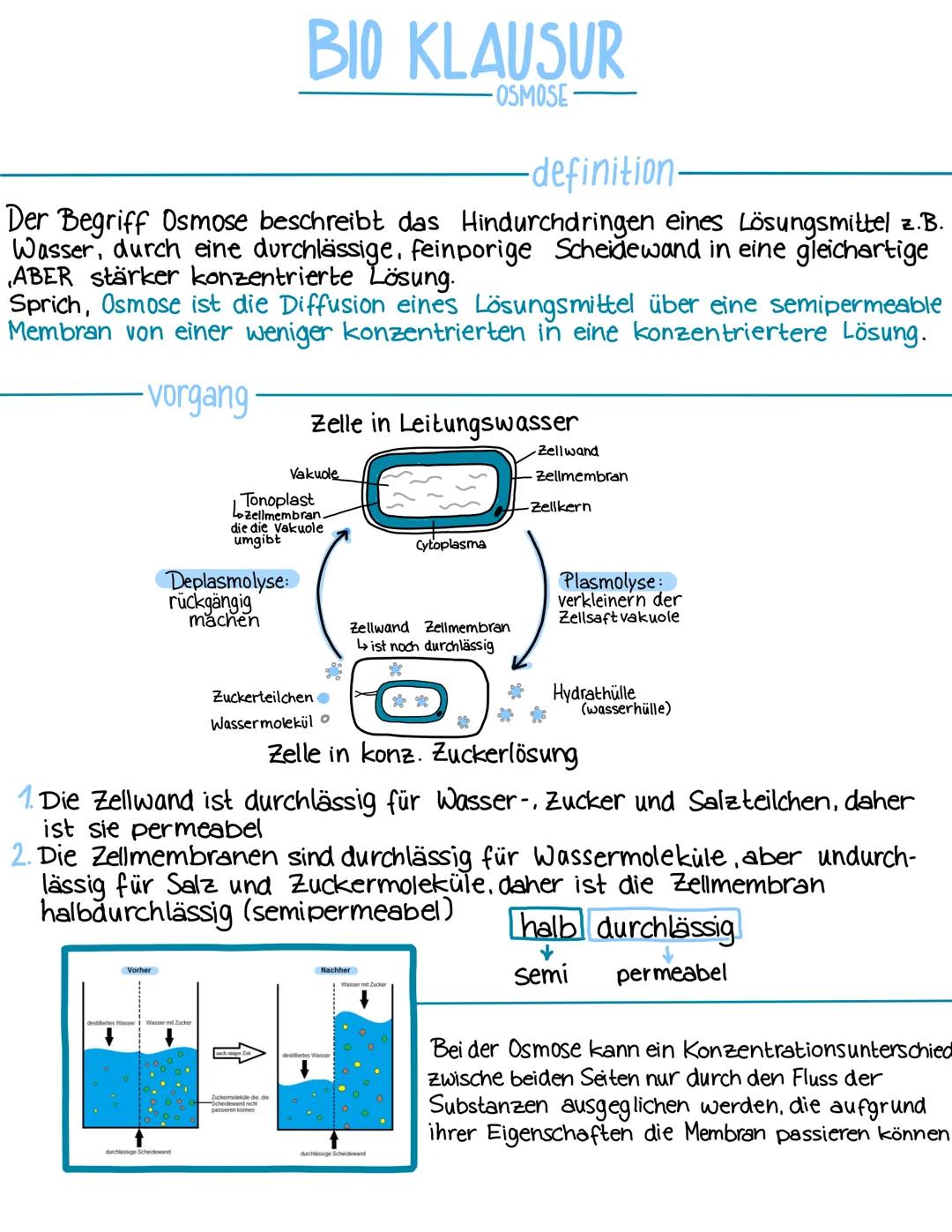 -definition.
Der Begriff Osmose beschreibt das Hindurchdringen eines Lösungsmittel z.B.
Wasser, durch eine durchlässige, feinporige Scheidew