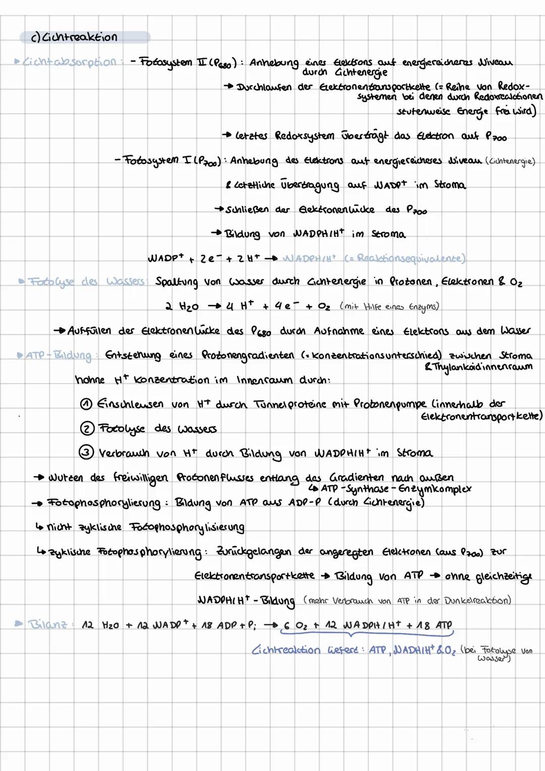 # FOTOSYNTHESE
Fotosynthes ist der wichtigste bio-chemische Vorgang auf der Erde..
$6 CO2 + 6 H₂O \xrightarrow{Licht} C6H12O6 + 602$
Wirk