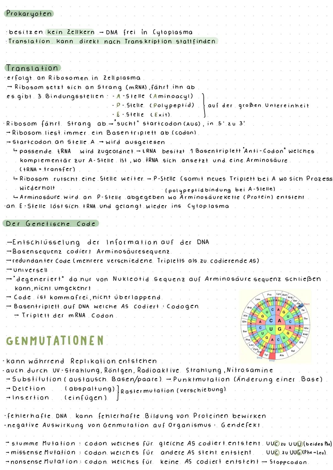 DNA-AUFBAU
5'
G
A
Zelle
3'
BIOLOGIE ARBEIT NR. 2
Zellkern
DNA = Desoxyribonukleinsäure.
Bestandteile: Desoxyribose (Pentosezucker)
(Kompleme