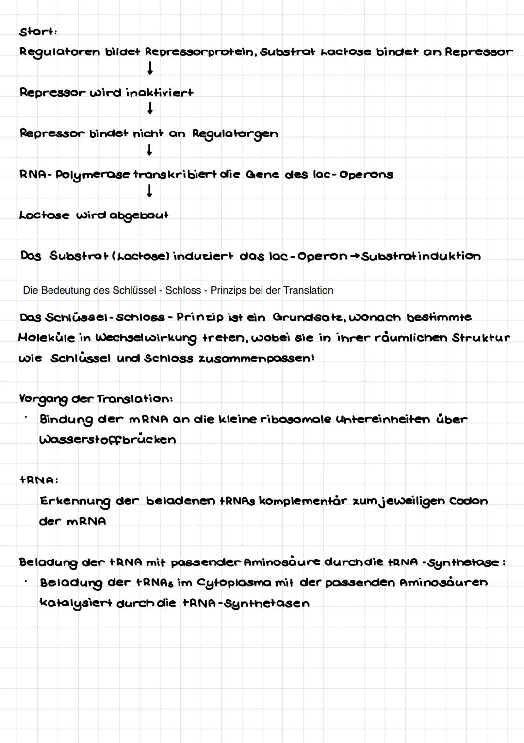 Proteinbiosynthese im Überblick
૩.
4.
سسسم
1.
2.
C
Gen-Abschnitt
A
Transkription
CA
Translation
Ile
1. Schritt: Transkription
C
Umgestaltung
