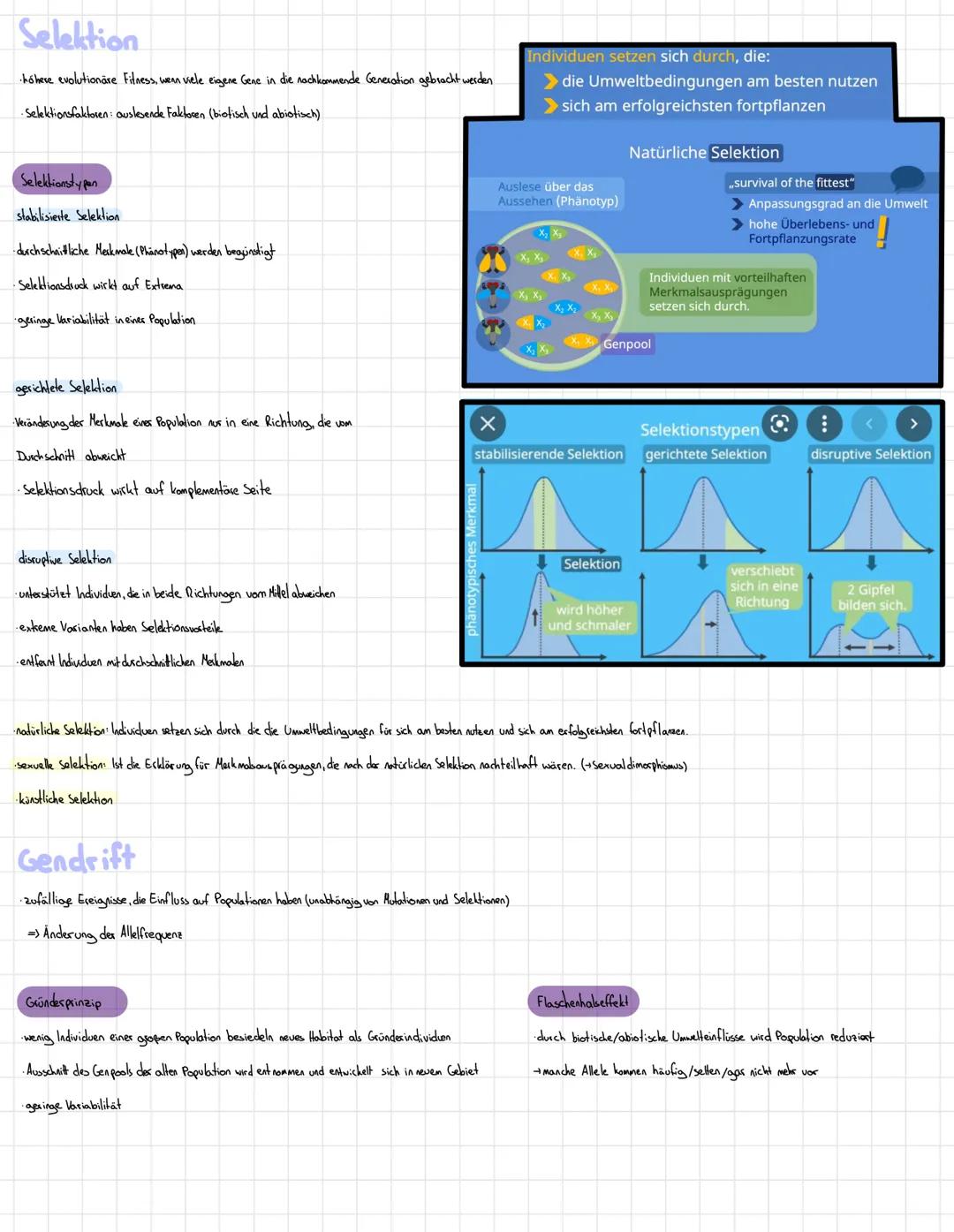# Evolution
Es gibt fünf Evolutions faktoren, die die evolutionäre Entwicklung begründen und beeinflussen: Mutation
verändern die genetische