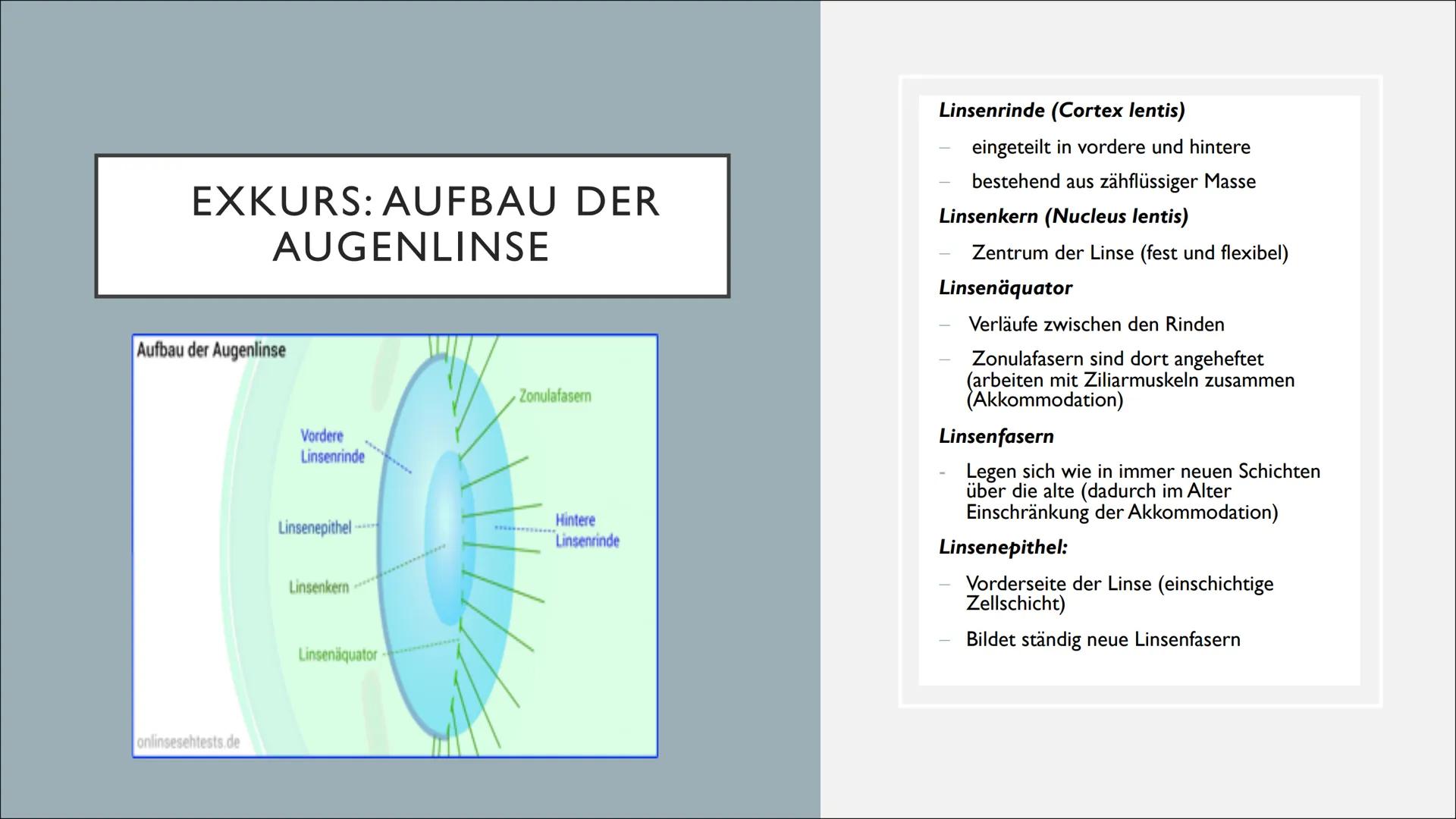 KRANKHEITEN UND
FEHLER DES AUGES
Von Lilith INHALTSVERZEICHNIS
1. Exkurs: Aufbau der Linse
2. Grau Star
3. Schielen
4. Grün Star
5. Weitsi