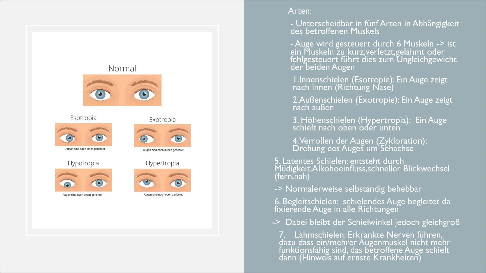 KRANKHEITEN UND
FEHLER DES AUGES
Von Lilith INHALTSVERZEICHNIS
1. Exkurs: Aufbau der Linse
2. Grau Star
3. Schielen
4. Grün Star
5. Weitsi