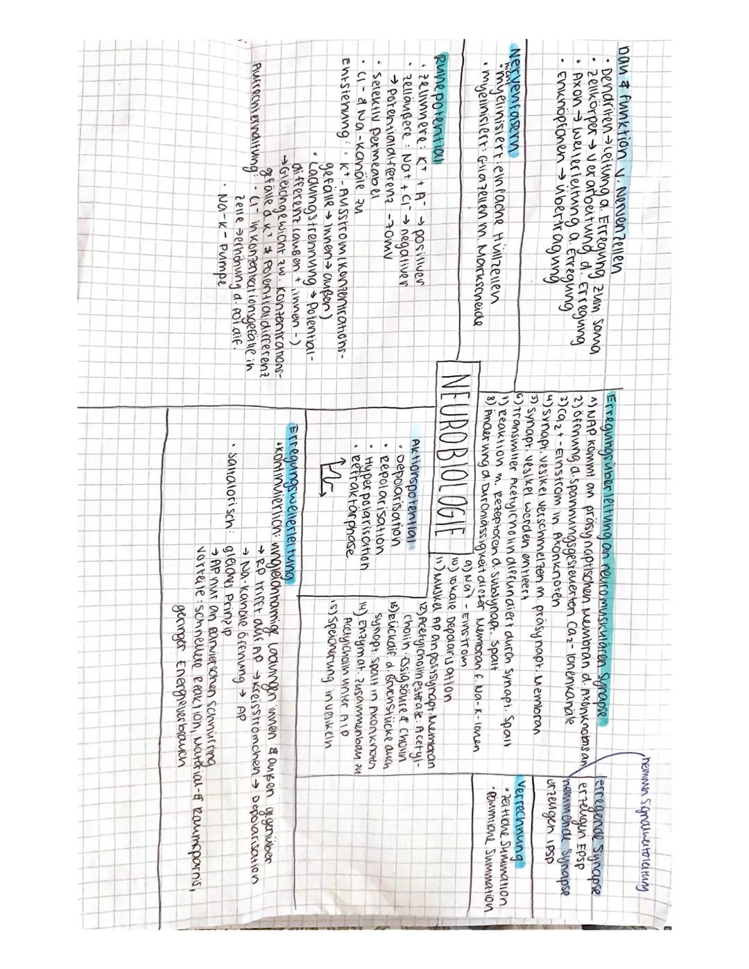 mündlich Abitur Biologie