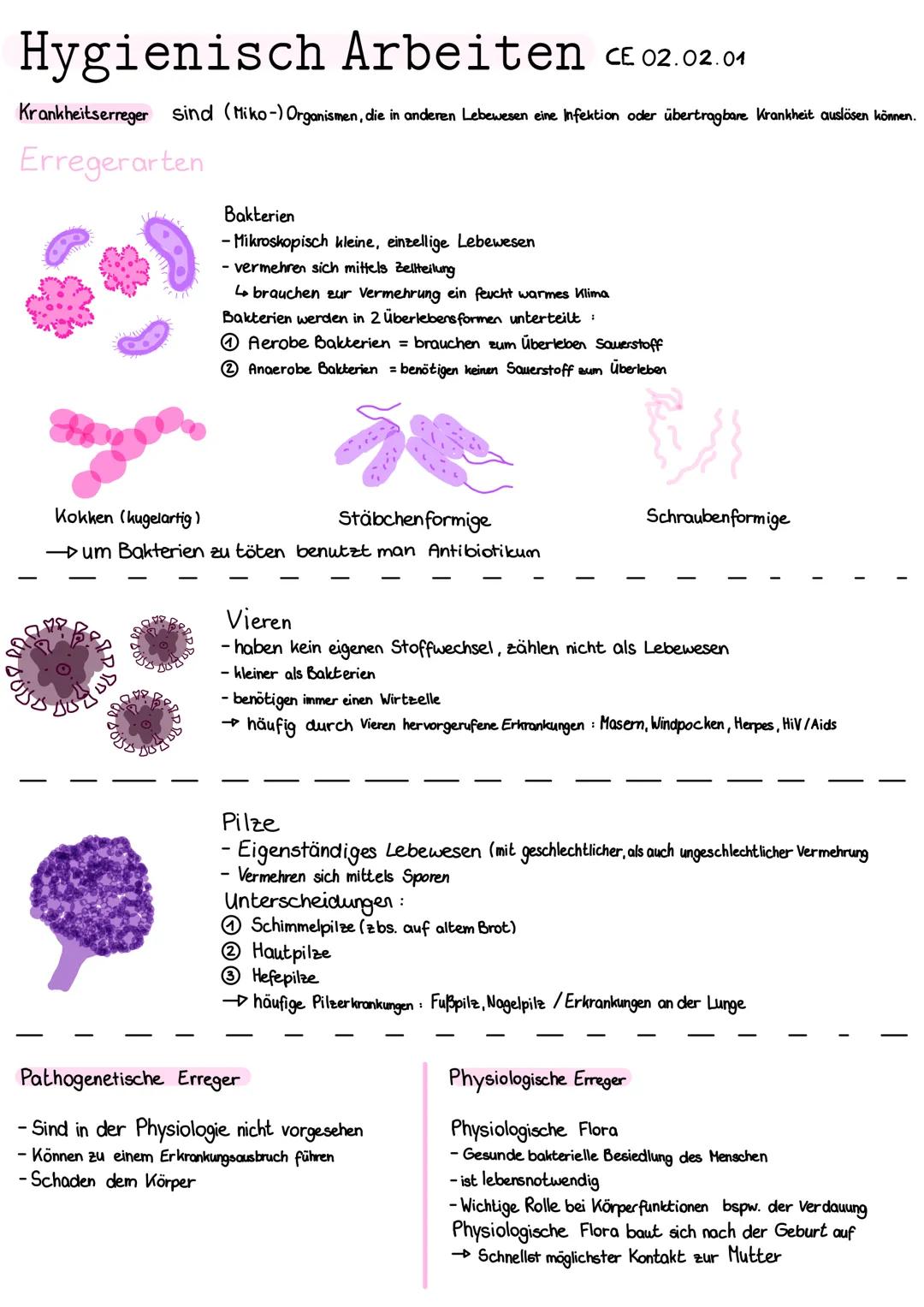 Hygienisch Arbeiten CE 02.02.01
Definition:
Grichisch hygiena = Gesundheit
→ Gesamtheit aller Maßnahmen zur Verhütung von Krankheiten
durch