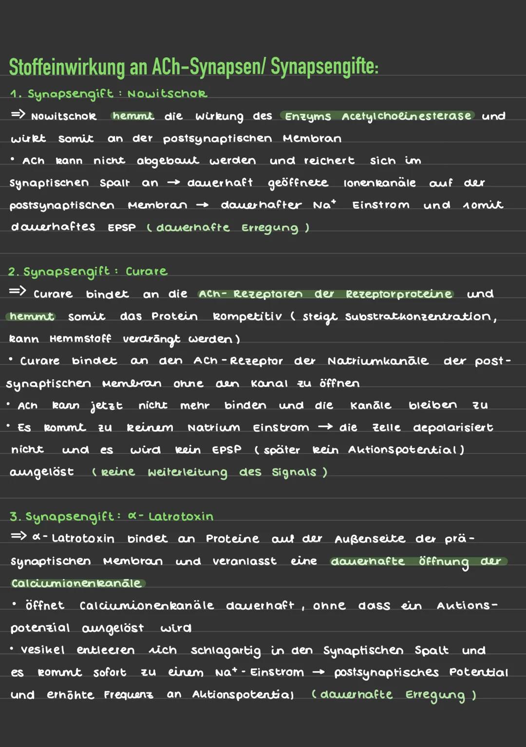 Erregungsleitung über chemische Synapsen:
Aufbau einer Synapse:
Calcium-lonenkanal
pra-
synaptische
Membran
lonenkanal
Nat
Aktionspotenzial