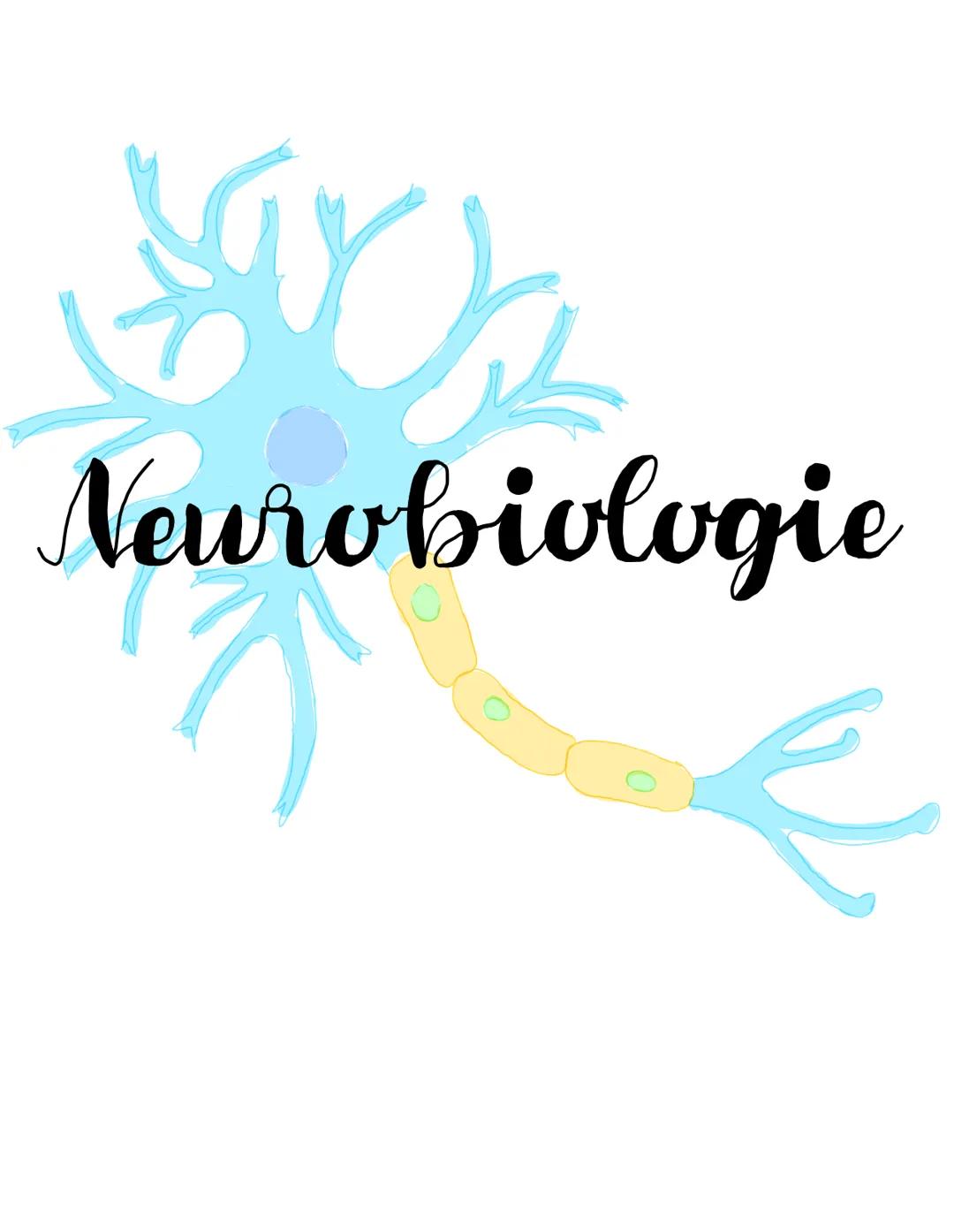 Neurobiologie