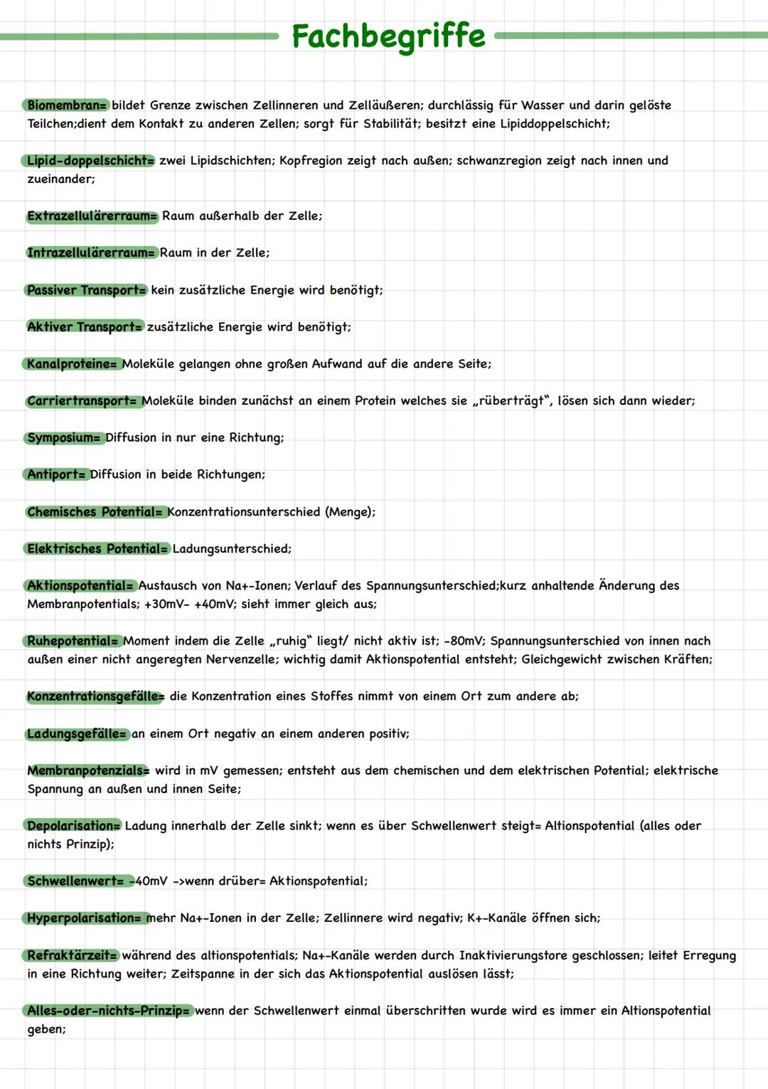 Neurobiologie # Fachbegriffe
Biomembran bildet Grenze zwischen Zellinneren und Zelläußeren; durchlässig für Wasser und darin gelöste
Teilch