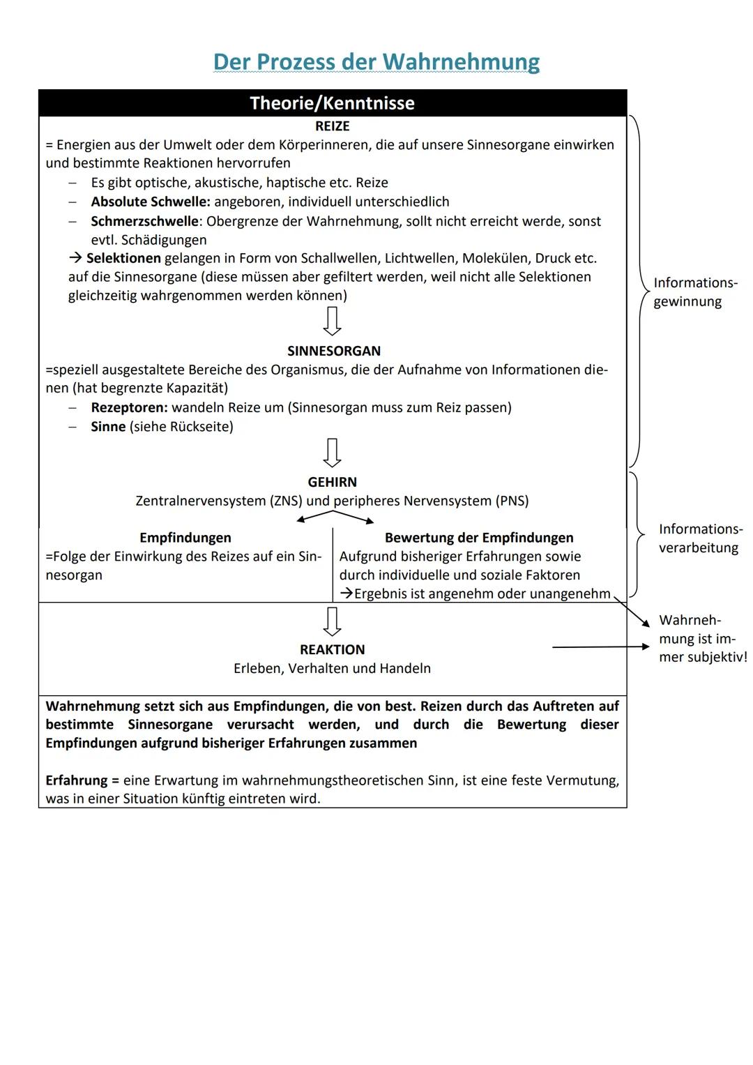 Die Kognitionen
Einleitung
Bei der Aufnahme der momentanen Umwelt, ihrer Verarbeitung und ihrem Einwirken auf
sie spielen viele Dinge eine e