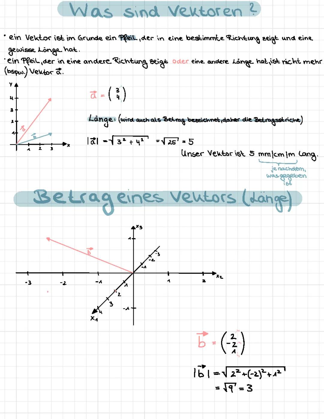 Grundlagen zu den Vektoren | Klasse 11 🧮