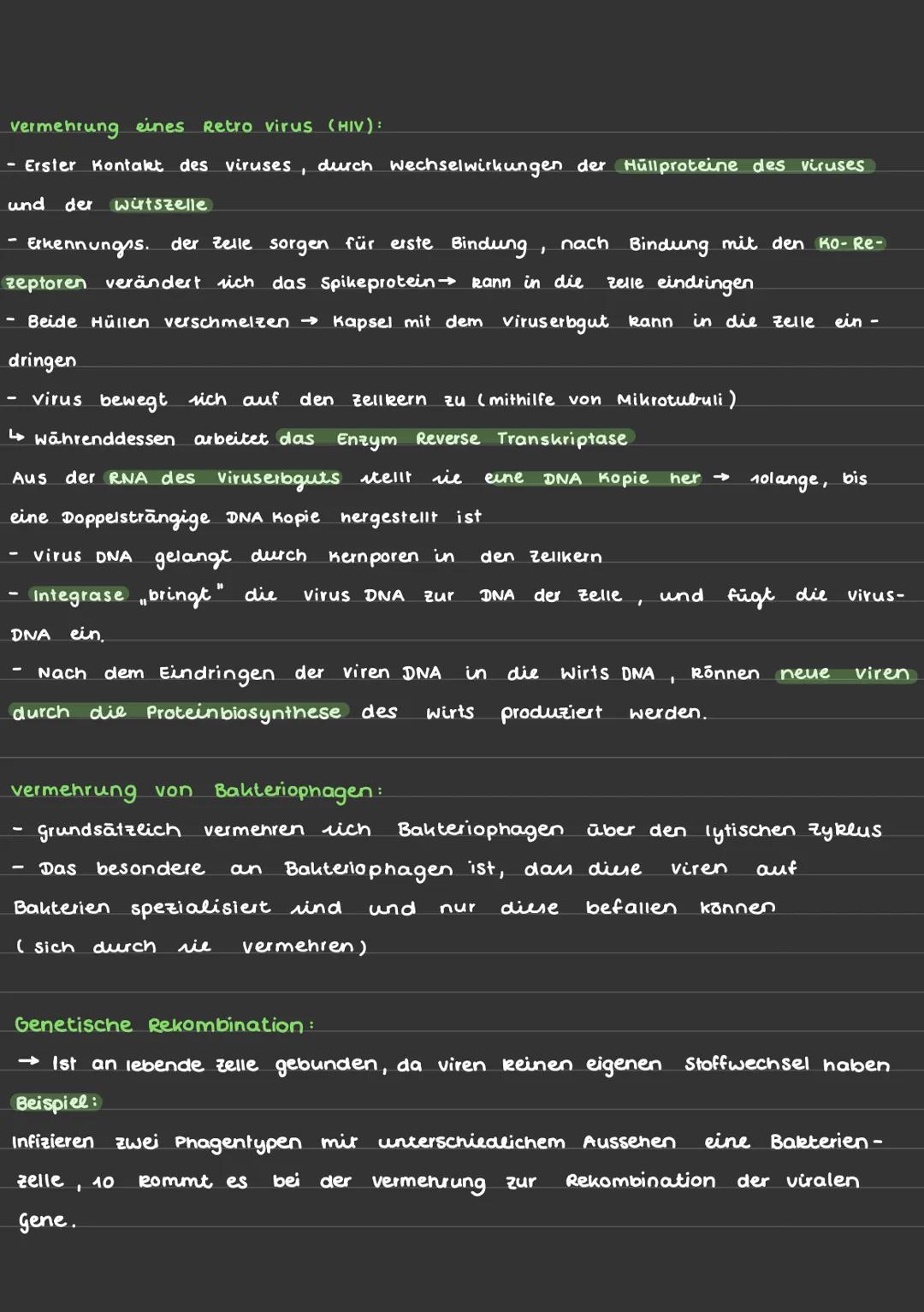 # BAU UND VERMEHRUNG VON DNA/RNA VIREN
Aufbau von einem Virus:
Hüllmembran
Kopf
DNA
Capsid
RNA
hohler Stift
Glykoprotein
Schwanz-
rohr
Ba
