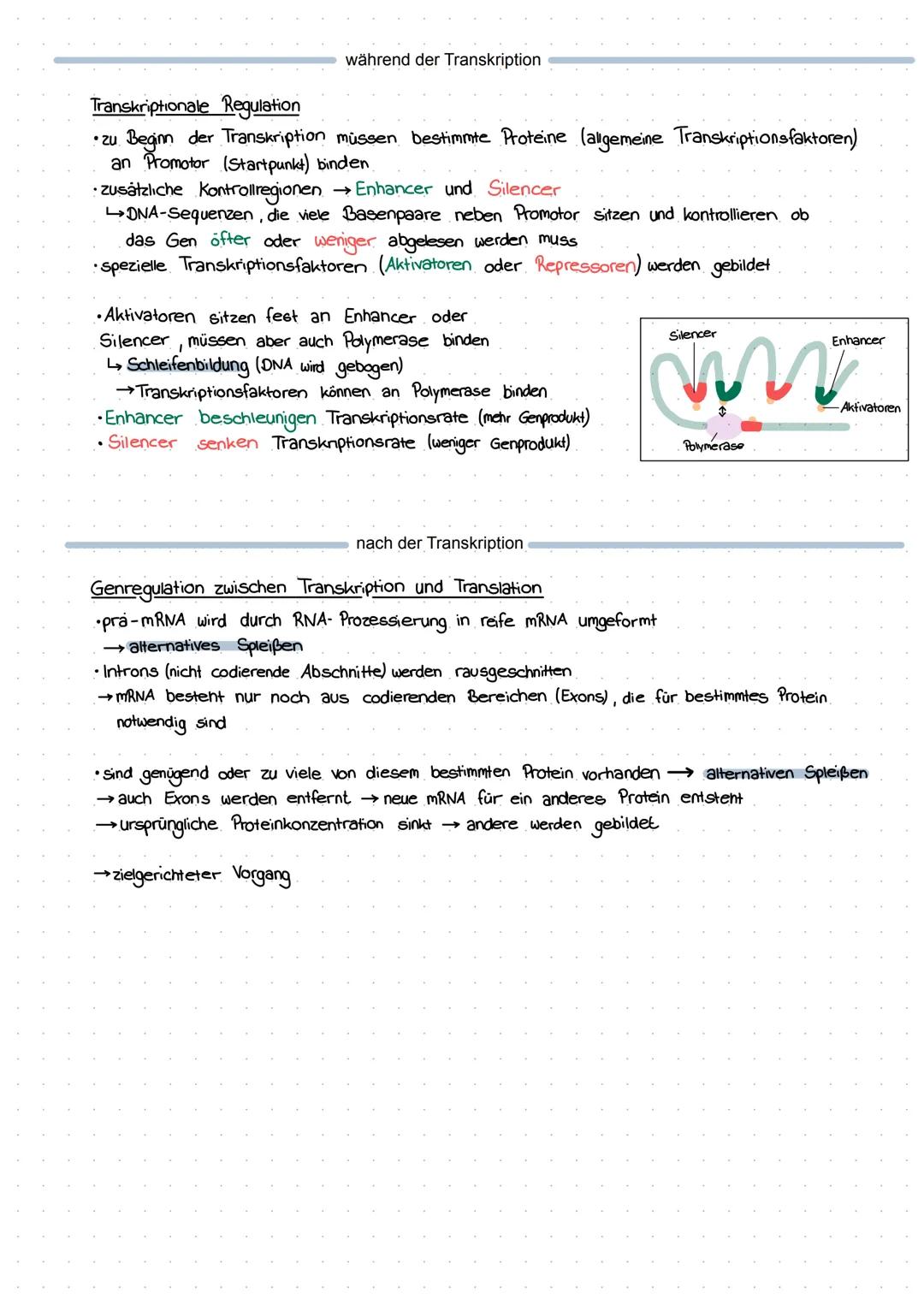 Genregulation (Operon Modell)
Bei Prokaryoten sind die Gene zur Regulation in bestimmten Funktionseinheiten
auf der DNA organisiert. So eine