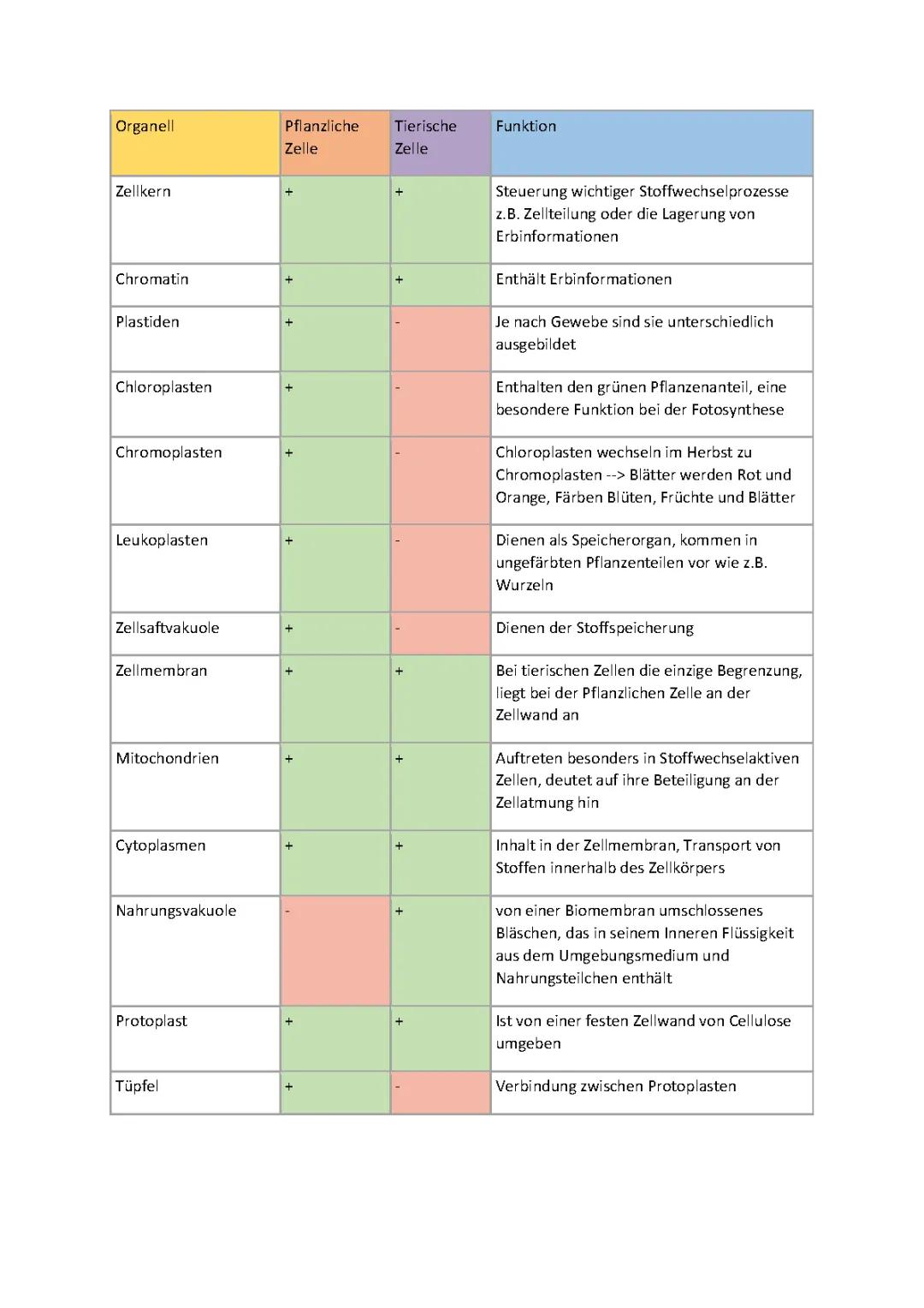 Bio Organellen, Pflanzliche Zellen, Tierische Zellen, Funktions Vergleich