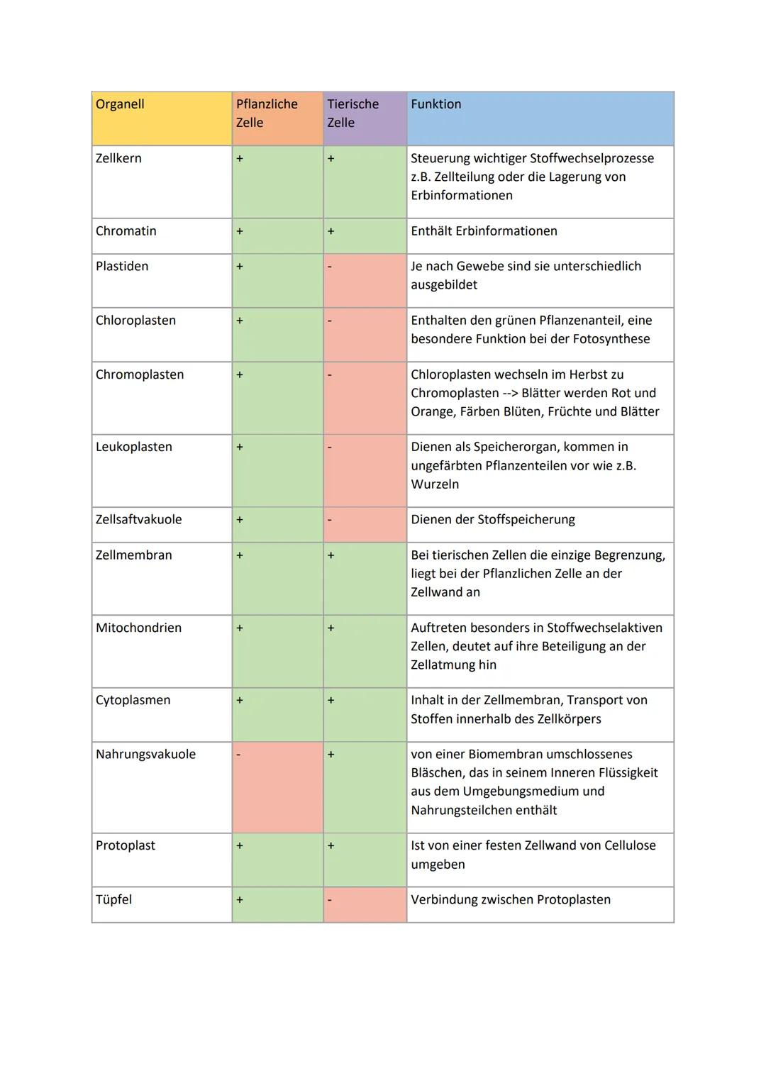 Organell
Zellkern
Chromatin
Plastiden
Chloroplasten
Chromoplasten
Leukoplasten
Zellsaftvakuole
Zellmembran
Mitochondrien
Cytoplasmen
Nahrung