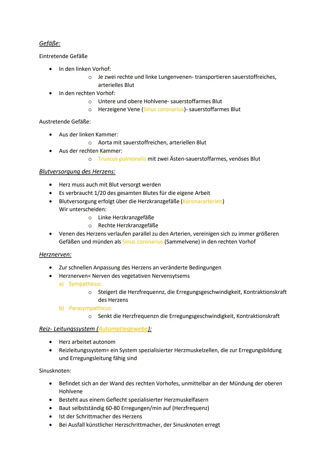 # Klausurvorbereitung Herz-Kreislaufsystem
Aufbau des Herzens:
obere Hohlvene
Vena Cava superior
Lungenvene
Venae pulmonales
rechter Vorh