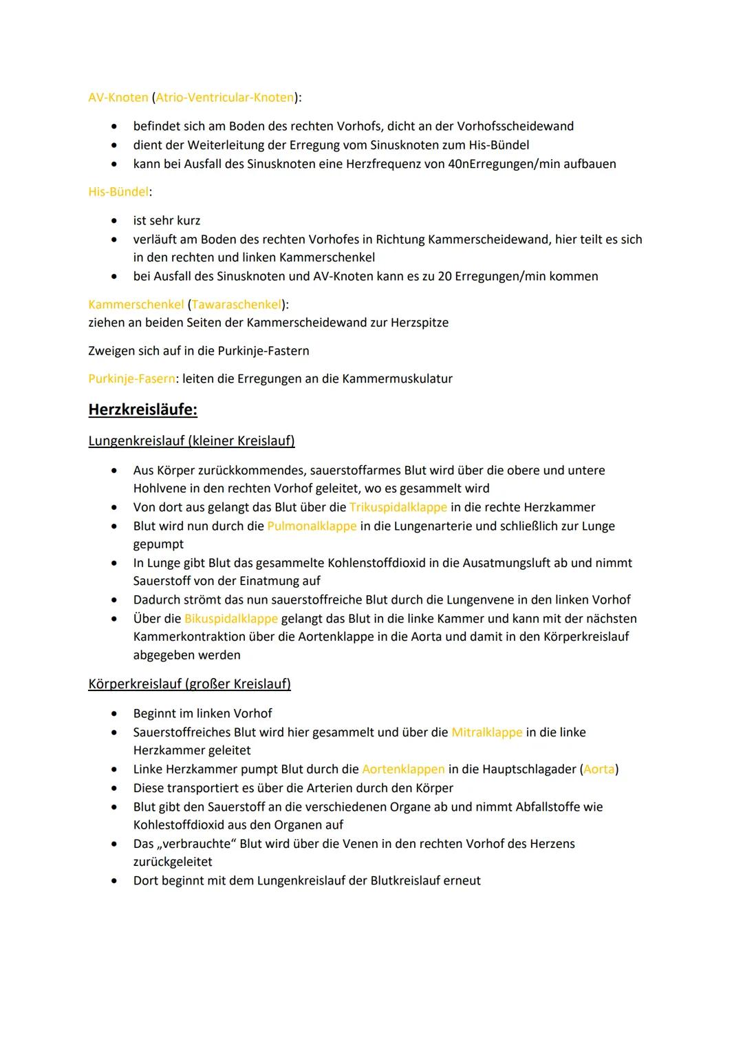 # Klausurvorbereitung Herz-Kreislaufsystem
Aufbau des Herzens:
obere Hohlvene
Vena Cava superior
Lungenvene
Venae pulmonales
rechter Vorh