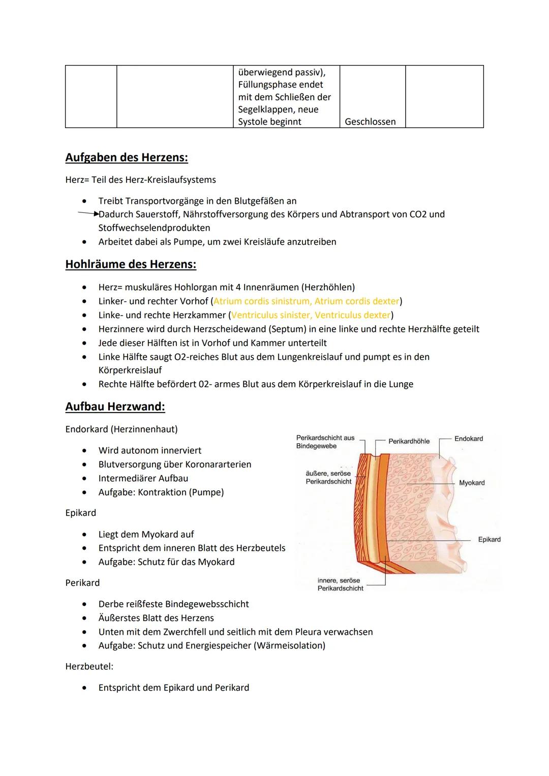 # Klausurvorbereitung Herz-Kreislaufsystem
Aufbau des Herzens:
obere Hohlvene
Vena Cava superior
Lungenvene
Venae pulmonales
rechter Vorh