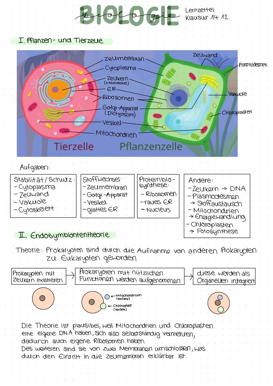 BIOLOGIE
I. Pflanzen- und Tierzeue
Tierzelle
zeumembran
Cytoplasma
Prokaryoten mit
Zeukern existieren
Zeukern
(+ Nucleolus)
ER-
Ribosomen
-