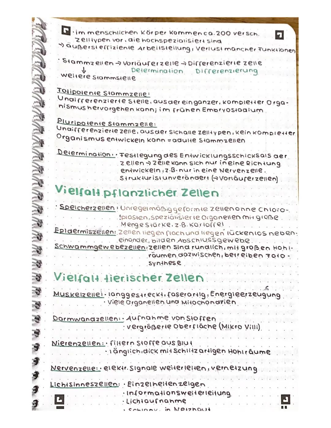 # Neutralisation
NaOH(aq) + HCl(aq)
Na+0
Hydroxidion
H
H
Θ
Na+ ICII +
H
1
Naci
210-H
NaOH(aq) + HCl(aq) → NaCl(aq) + 2 H2O
Brönsted-Base Brö
