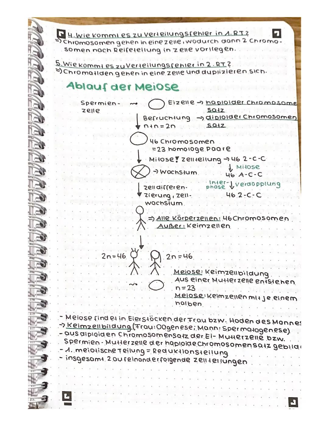 # Neutralisation
NaOH(aq) + HCl(aq)
Na+0
Hydroxidion
H
H
Θ
Na+ ICII +
H
1
Naci
210-H
NaOH(aq) + HCl(aq) → NaCl(aq) + 2 H2O
Brönsted-Base Brö