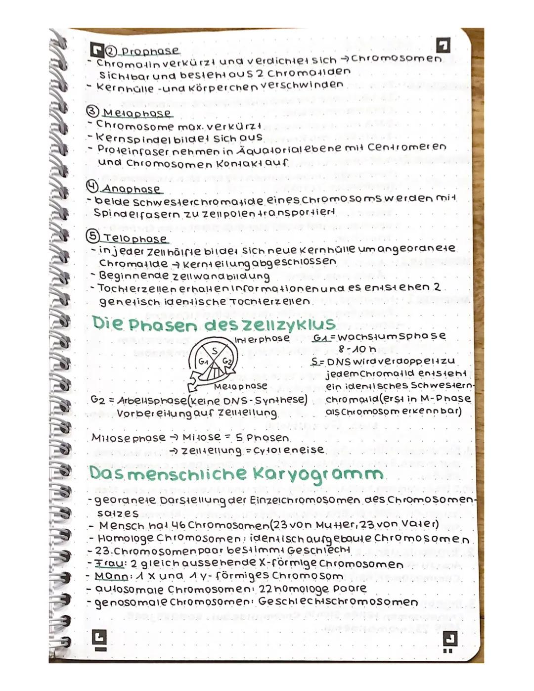 # Neutralisation
NaOH(aq) + HCl(aq)
Na+0
Hydroxidion
H
H
Θ
Na+ ICII +
H
1
Naci
210-H
NaOH(aq) + HCl(aq) → NaCl(aq) + 2 H2O
Brönsted-Base Brö