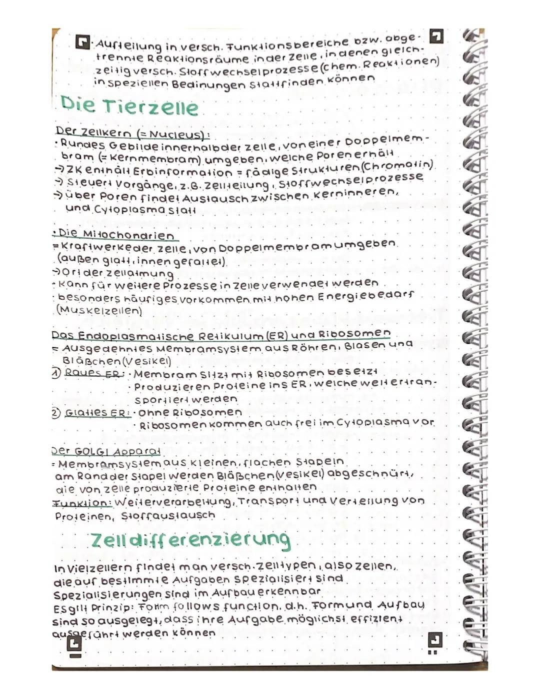 # Neutralisation
NaOH(aq) + HCl(aq)
Na+0
Hydroxidion
H
H
Θ
Na+ ICII +
H
1
Naci
210-H
NaOH(aq) + HCl(aq) → NaCl(aq) + 2 H2O
Brönsted-Base Brö
