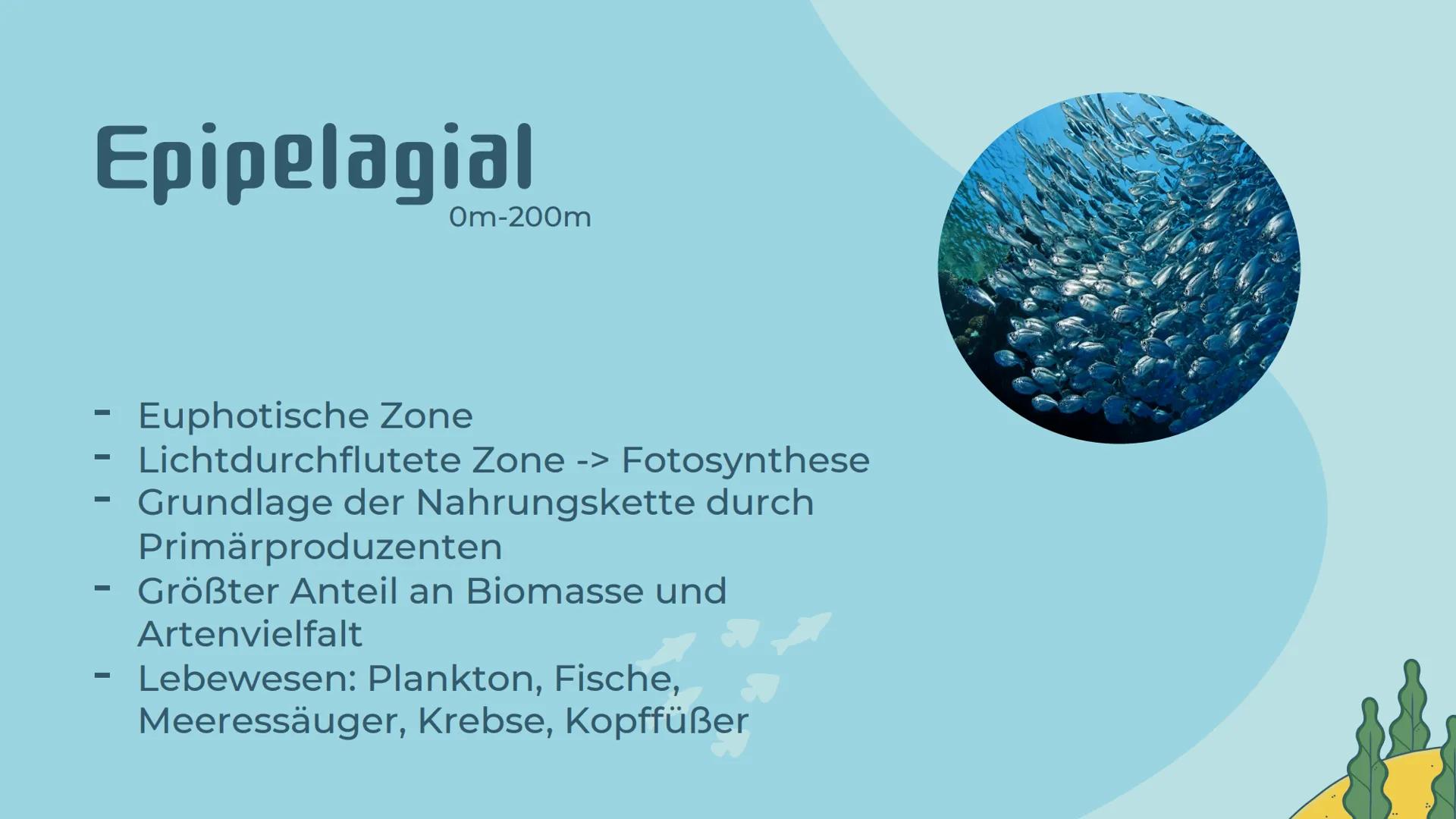 # Ökosystem
# Meer
Präsentation von Noemi Kirchner # Gliederung
01
Was ist ein Meer?
Definition, Teile des Meeres,
Kriterien
04
Relevanz