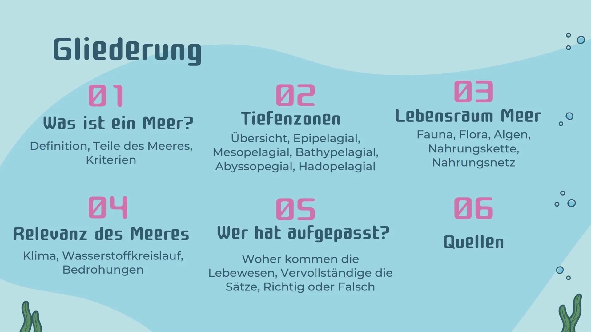 # Ökosystem
# Meer
Präsentation von Noemi Kirchner # Gliederung
01
Was ist ein Meer?
Definition, Teile des Meeres,
Kriterien
04
Relevanz