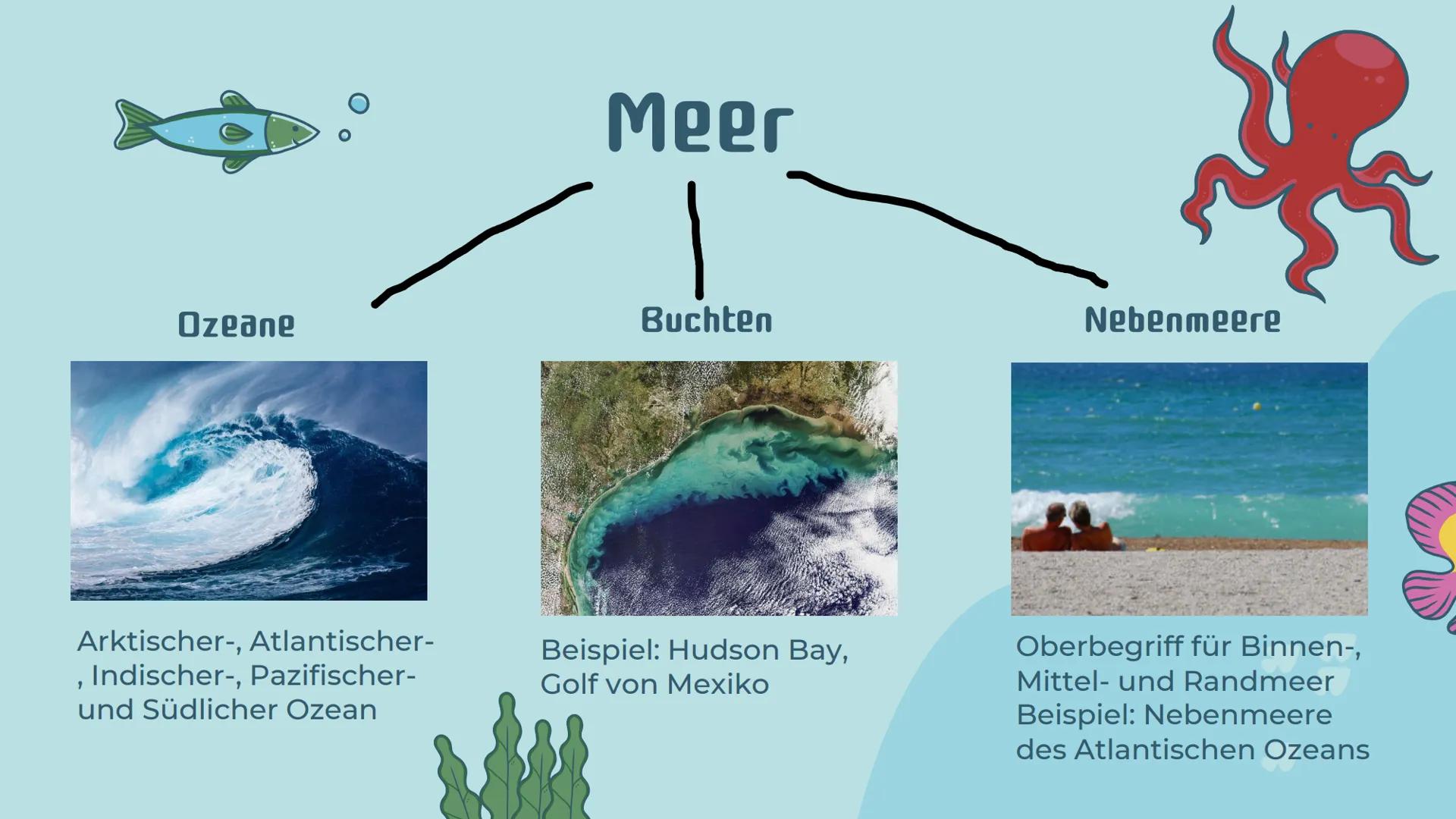 # Ökosystem
# Meer
Präsentation von Noemi Kirchner # Gliederung
01
Was ist ein Meer?
Definition, Teile des Meeres,
Kriterien
04
Relevanz