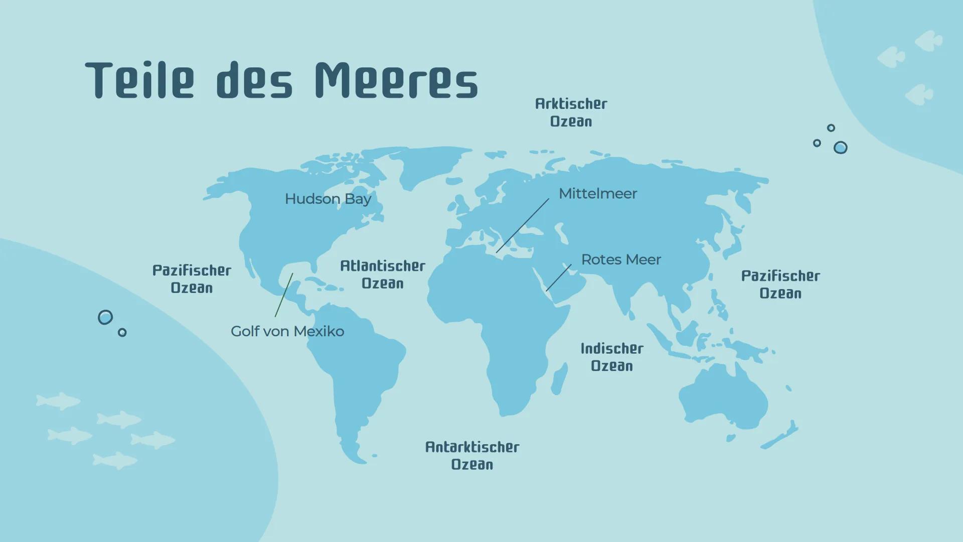 # Ökosystem
# Meer
Präsentation von Noemi Kirchner # Gliederung
01
Was ist ein Meer?
Definition, Teile des Meeres,
Kriterien
04
Relevanz