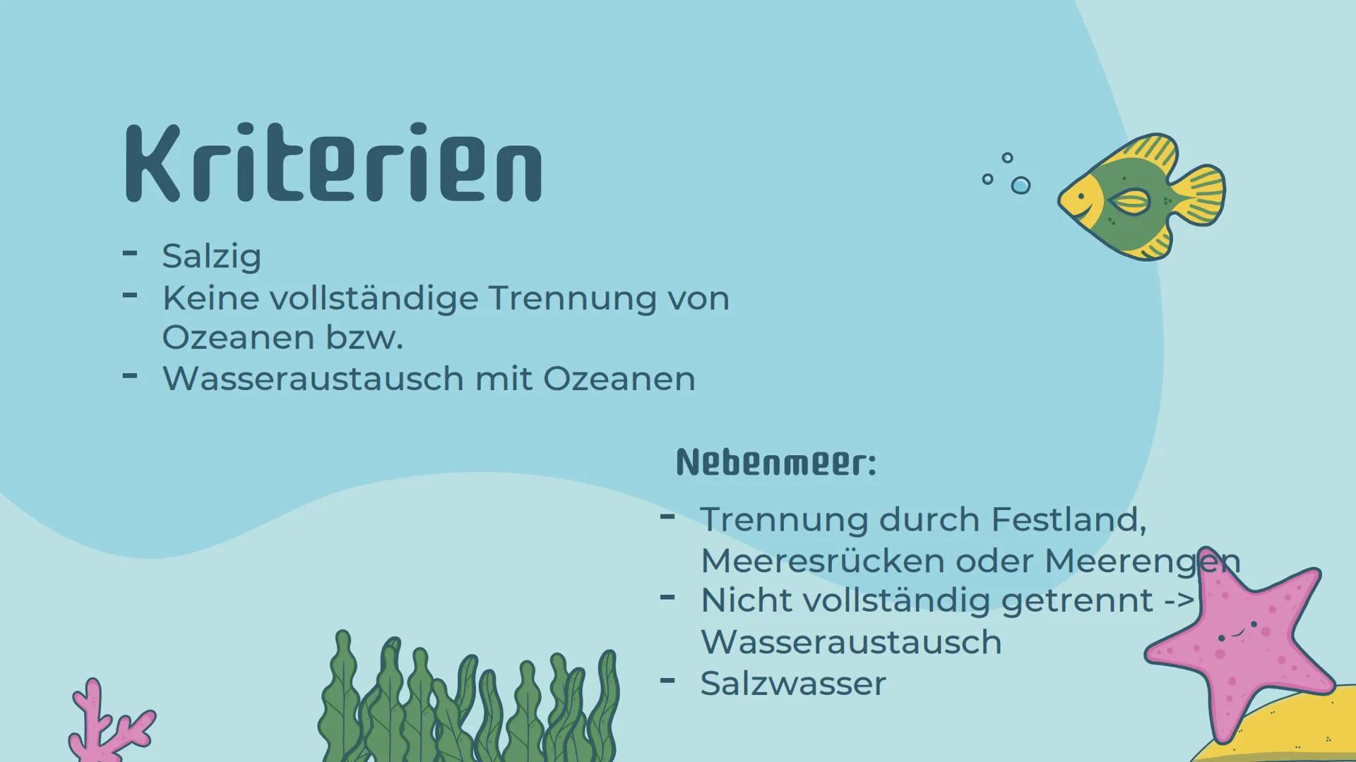 # Ökosystem
# Meer
Präsentation von Noemi Kirchner # Gliederung
01
Was ist ein Meer?
Definition, Teile des Meeres,
Kriterien
04
Relevanz