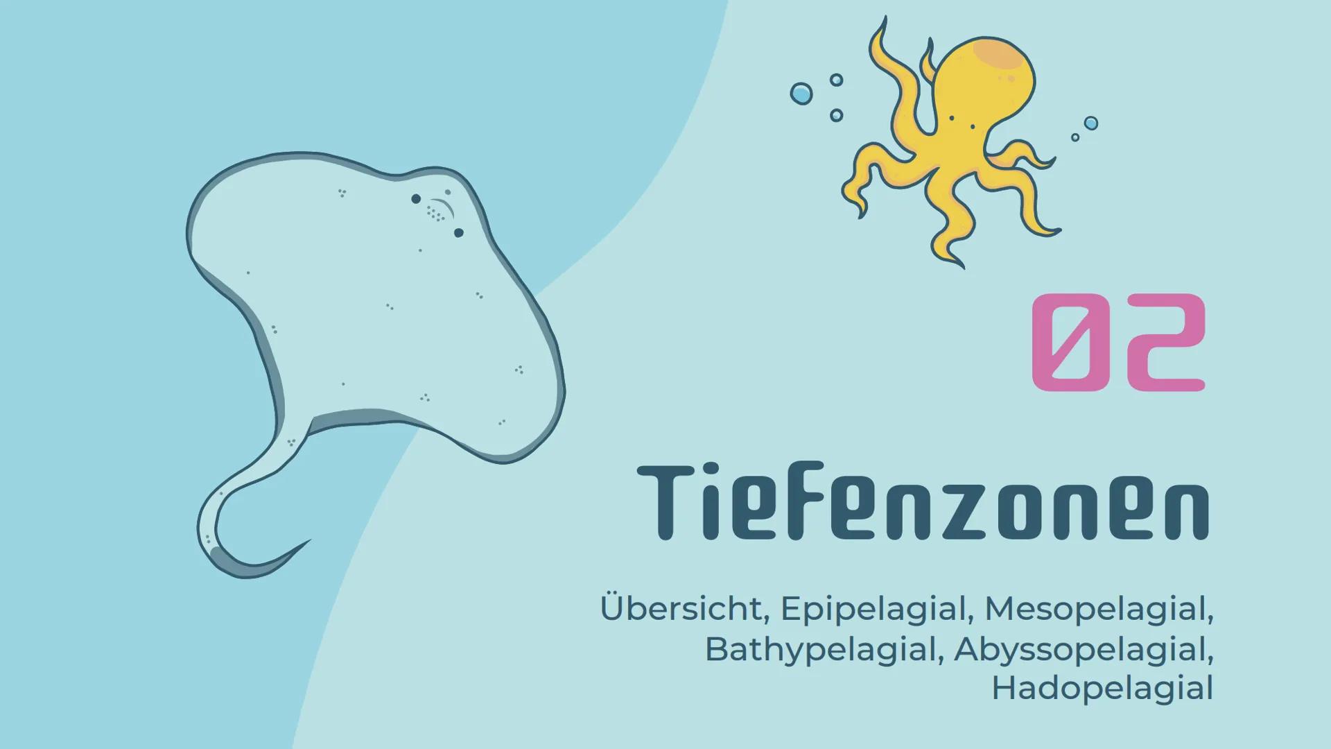 # Ökosystem
# Meer
Präsentation von Noemi Kirchner # Gliederung
01
Was ist ein Meer?
Definition, Teile des Meeres,
Kriterien
04
Relevanz